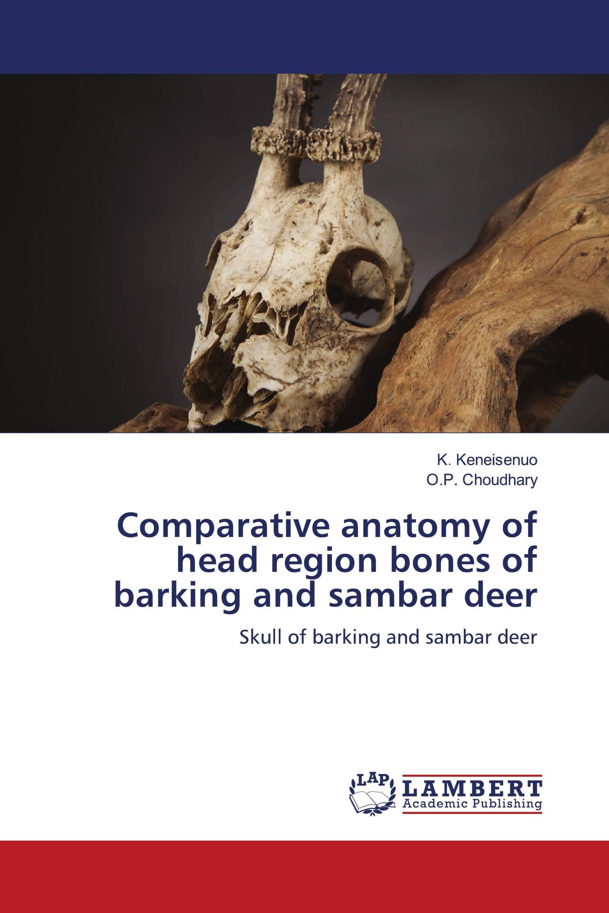 Comparative anatomy of head region bones of barking and sambar deer