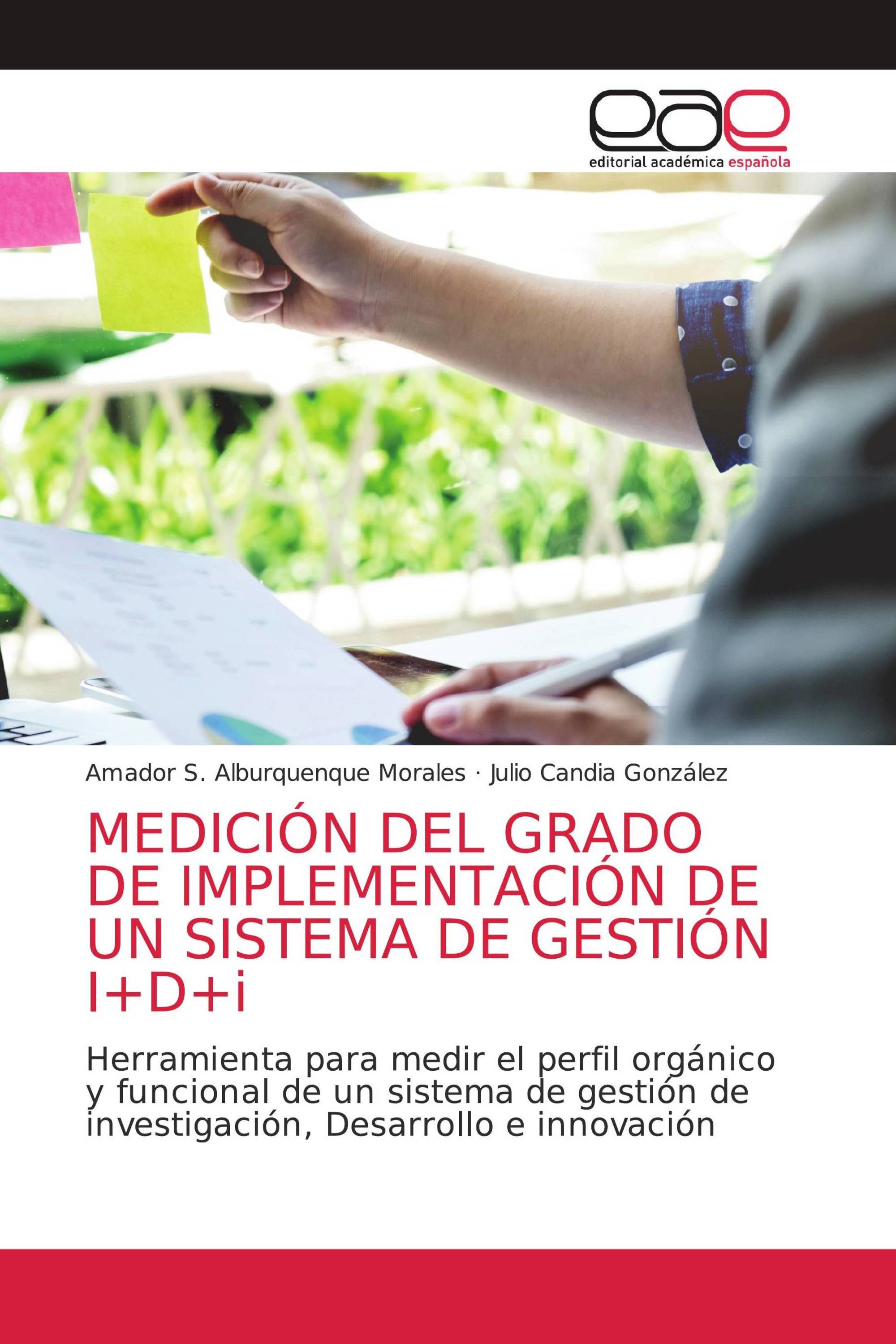 MEDICIÓN DEL GRADO DE IMPLEMENTACIÓN DE UN SISTEMA DE GESTIÓN I+D+i