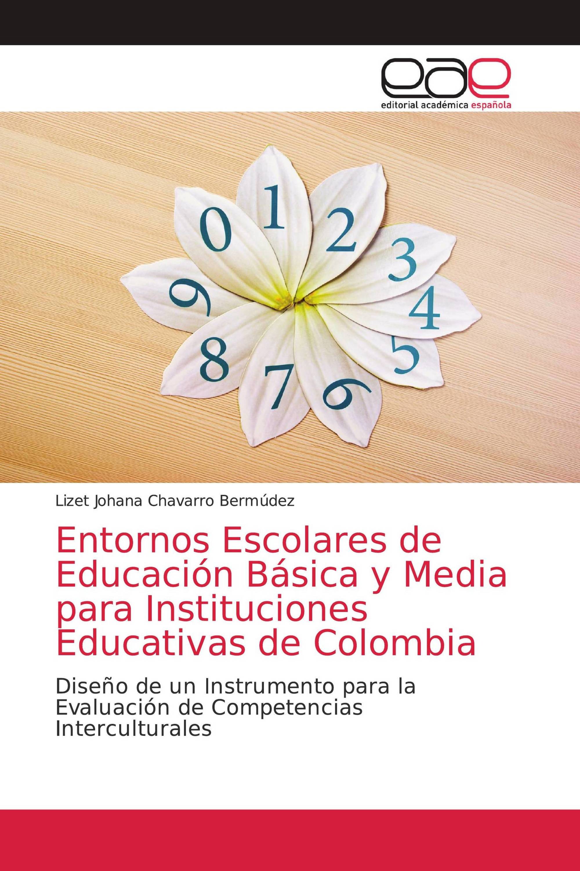 Entornos Escolares de Educación Básica y Media para Instituciones Educativas de Colombia