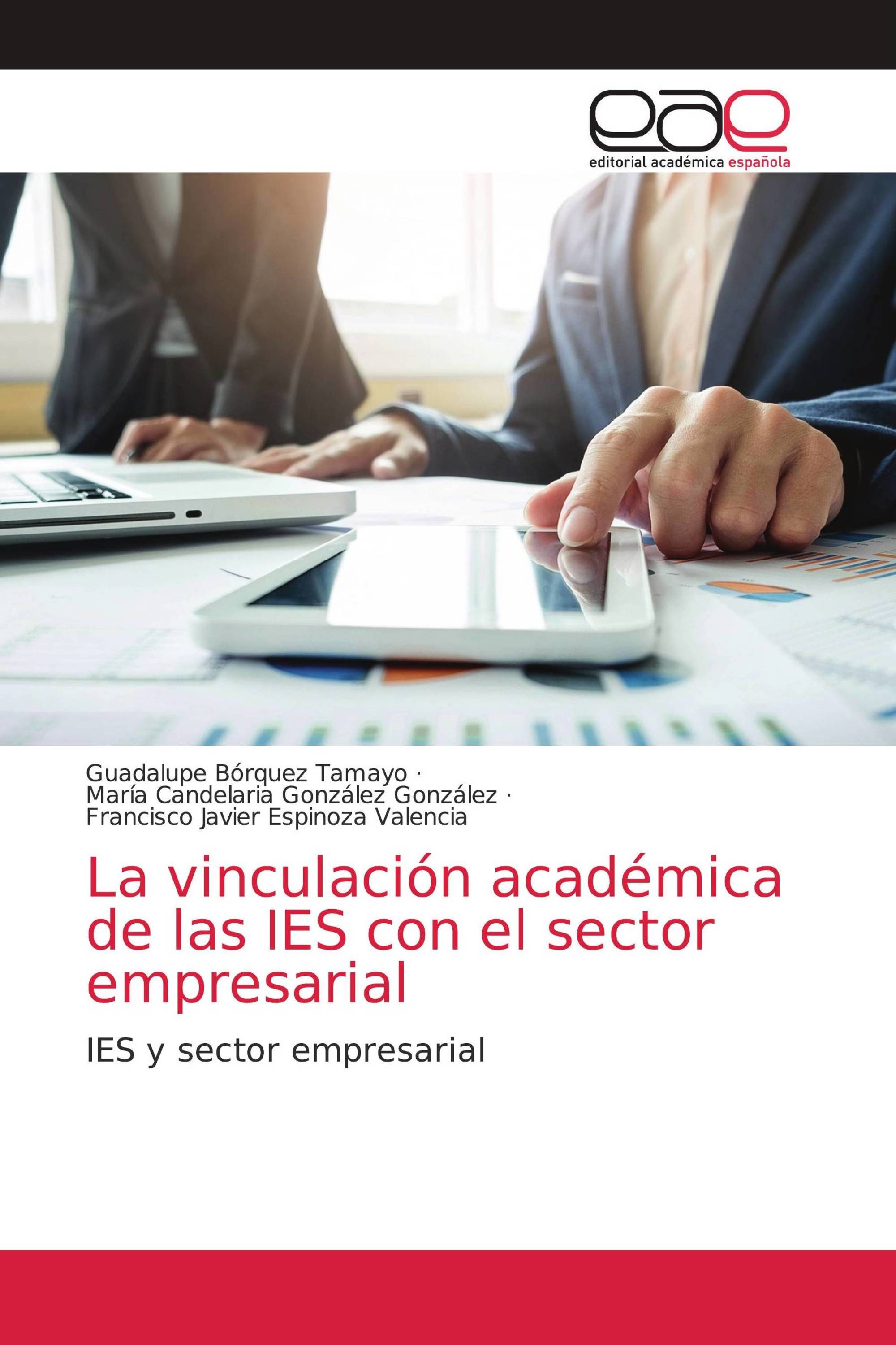 La vinculación académica de las IES con el sector empresarial