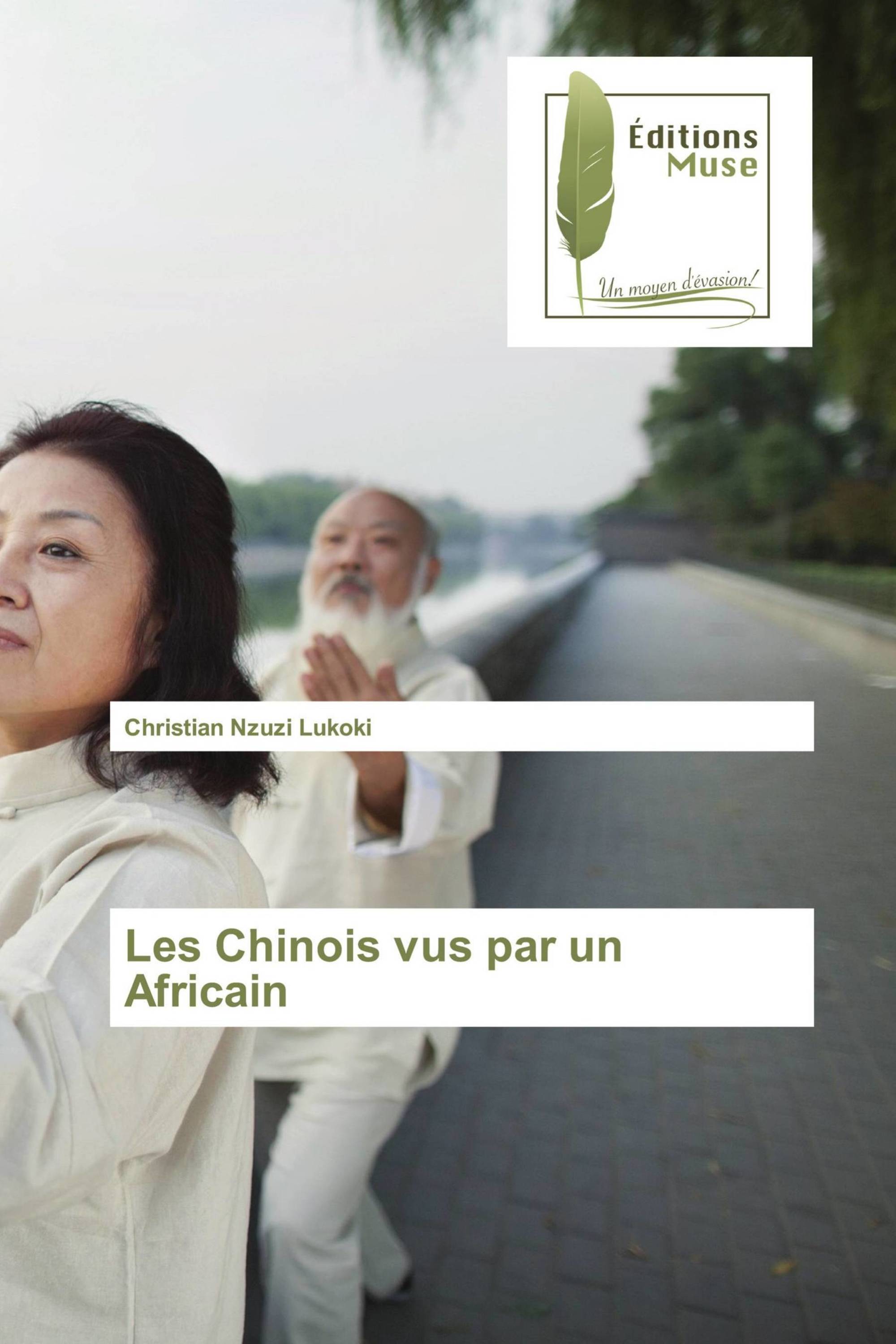 Les Chinois vus par un Africain