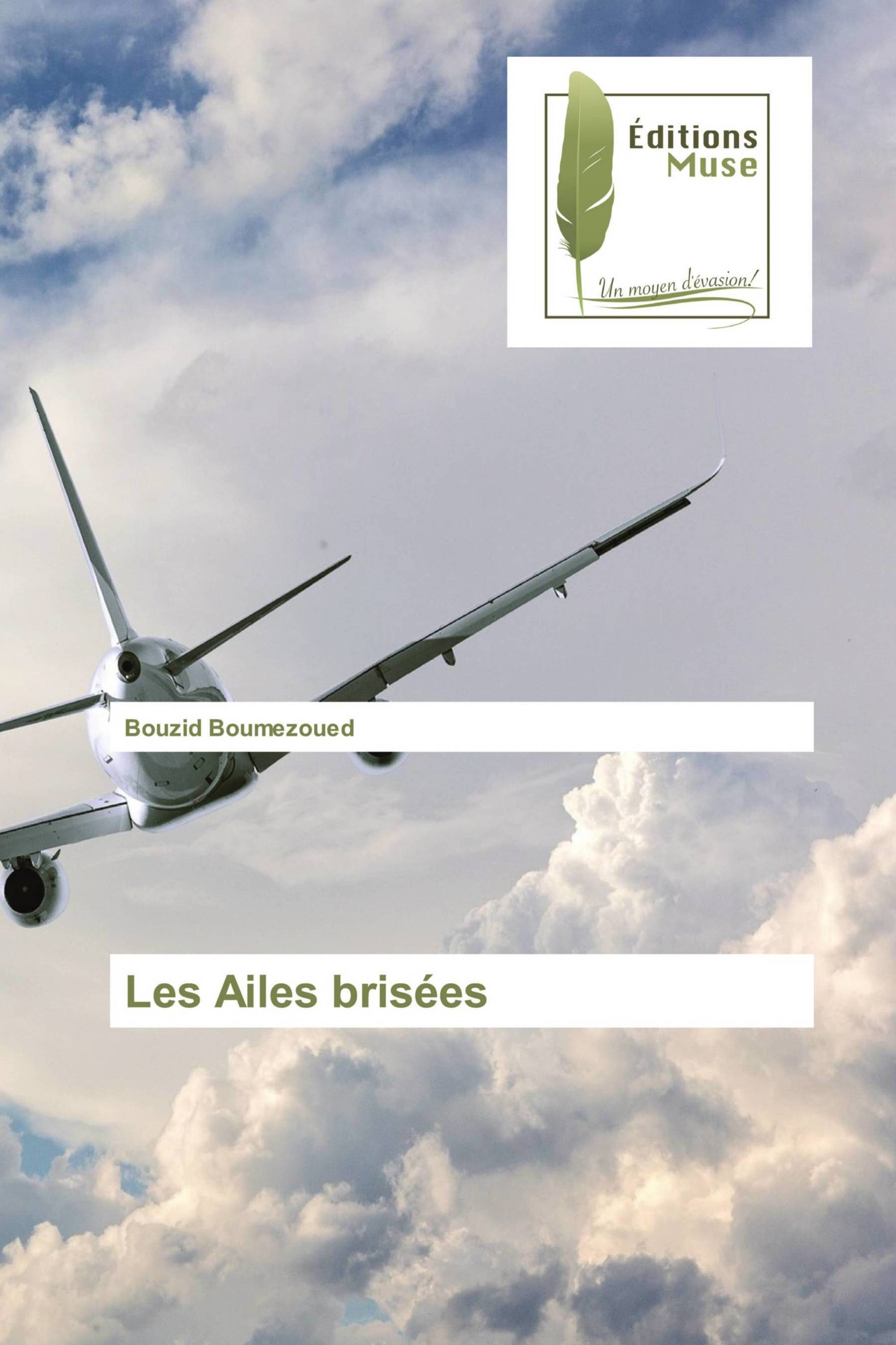 Les Ailes brisées