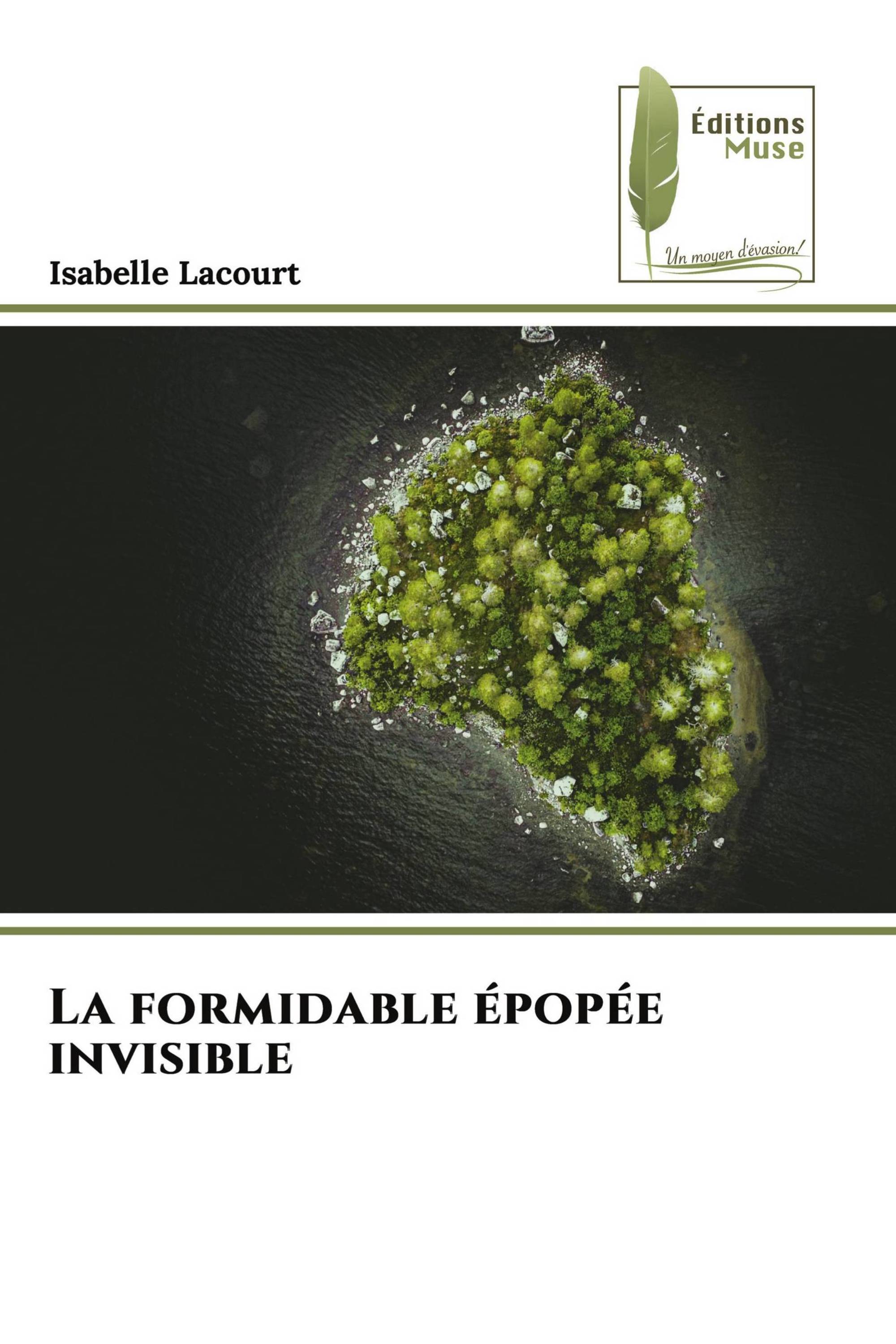 La formidable épopée invisible