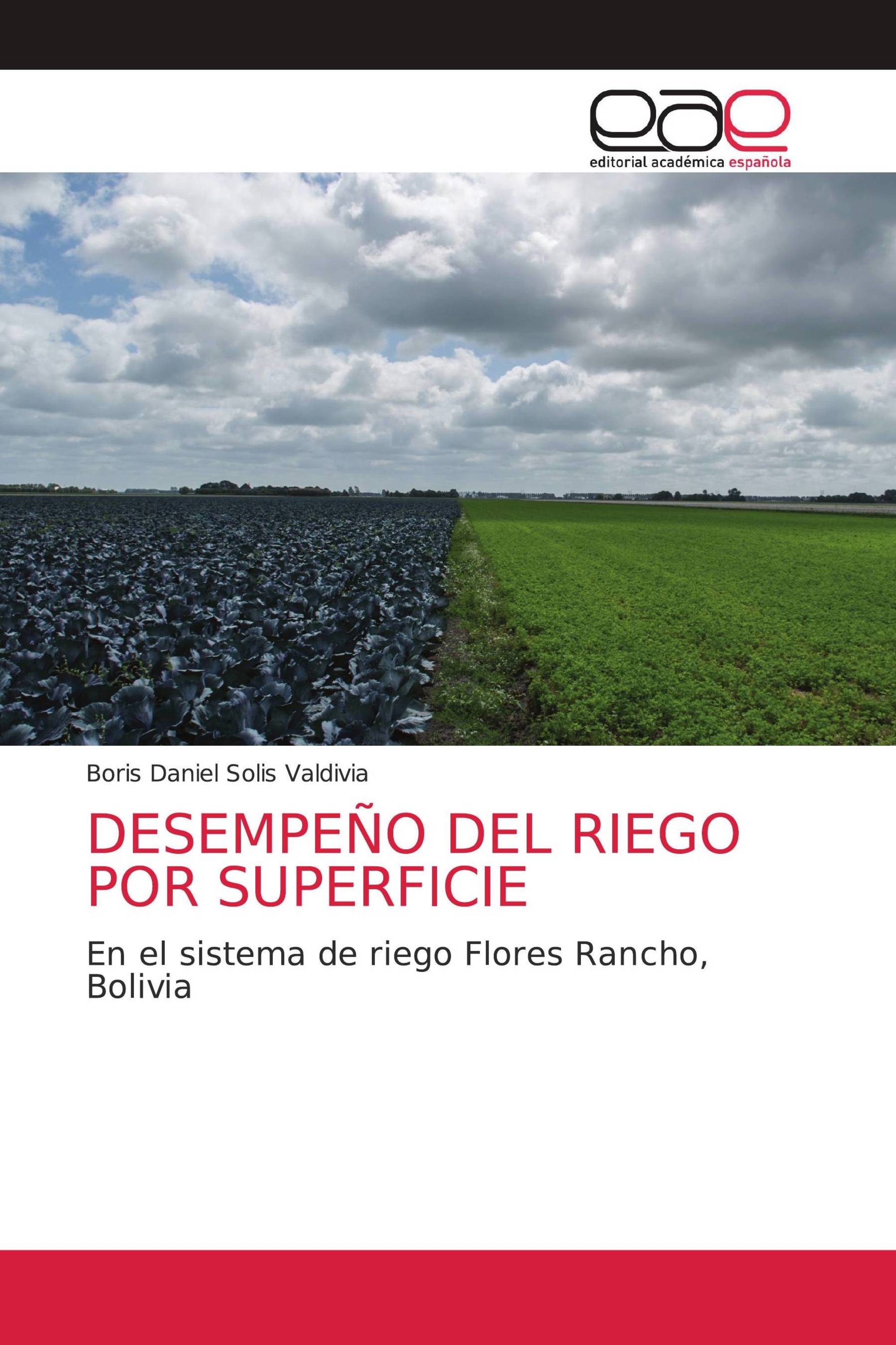 DESEMPEÑO DEL RIEGO POR SUPERFICIE