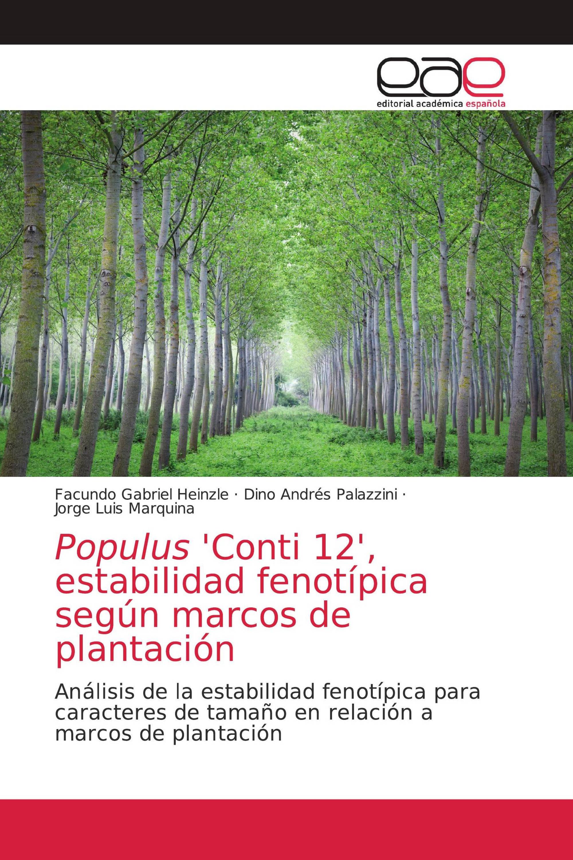 Populus 'Conti 12', estabilidad fenotípica según marcos de plantación