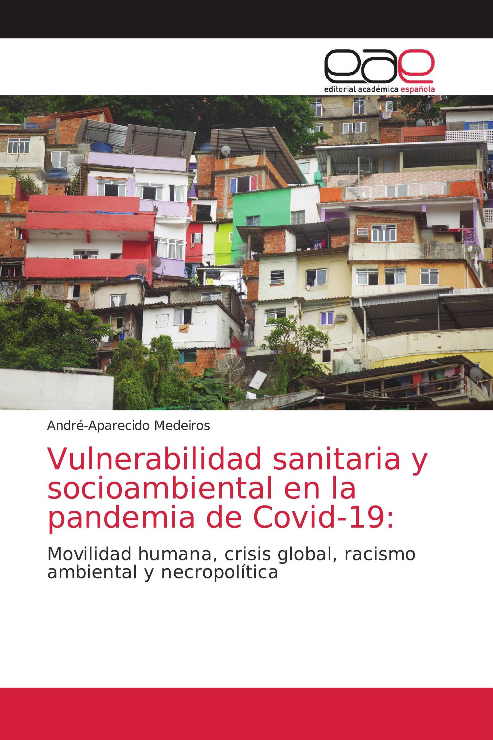 Vulnerabilidad sanitaria y socioambiental en la pandemia de Covid-19: