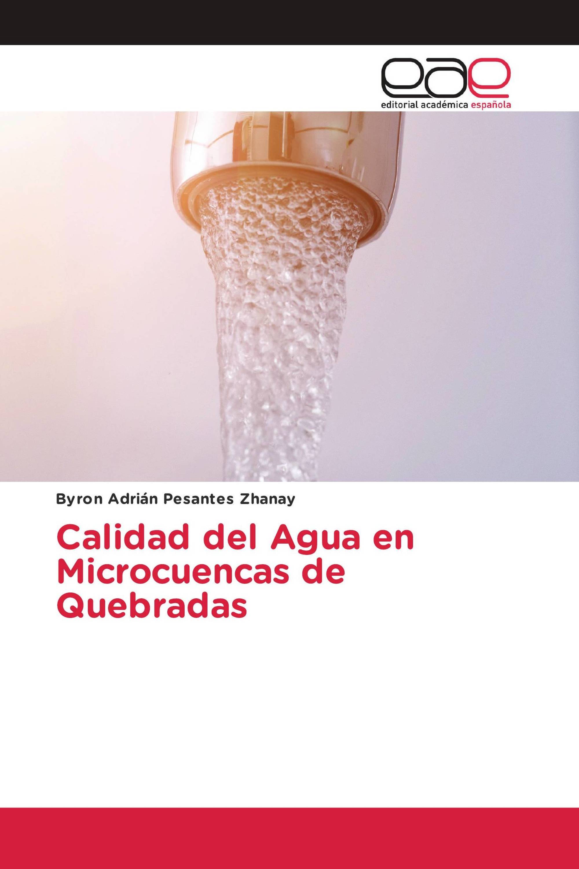 Calidad del Agua en Microcuencas de Quebradas