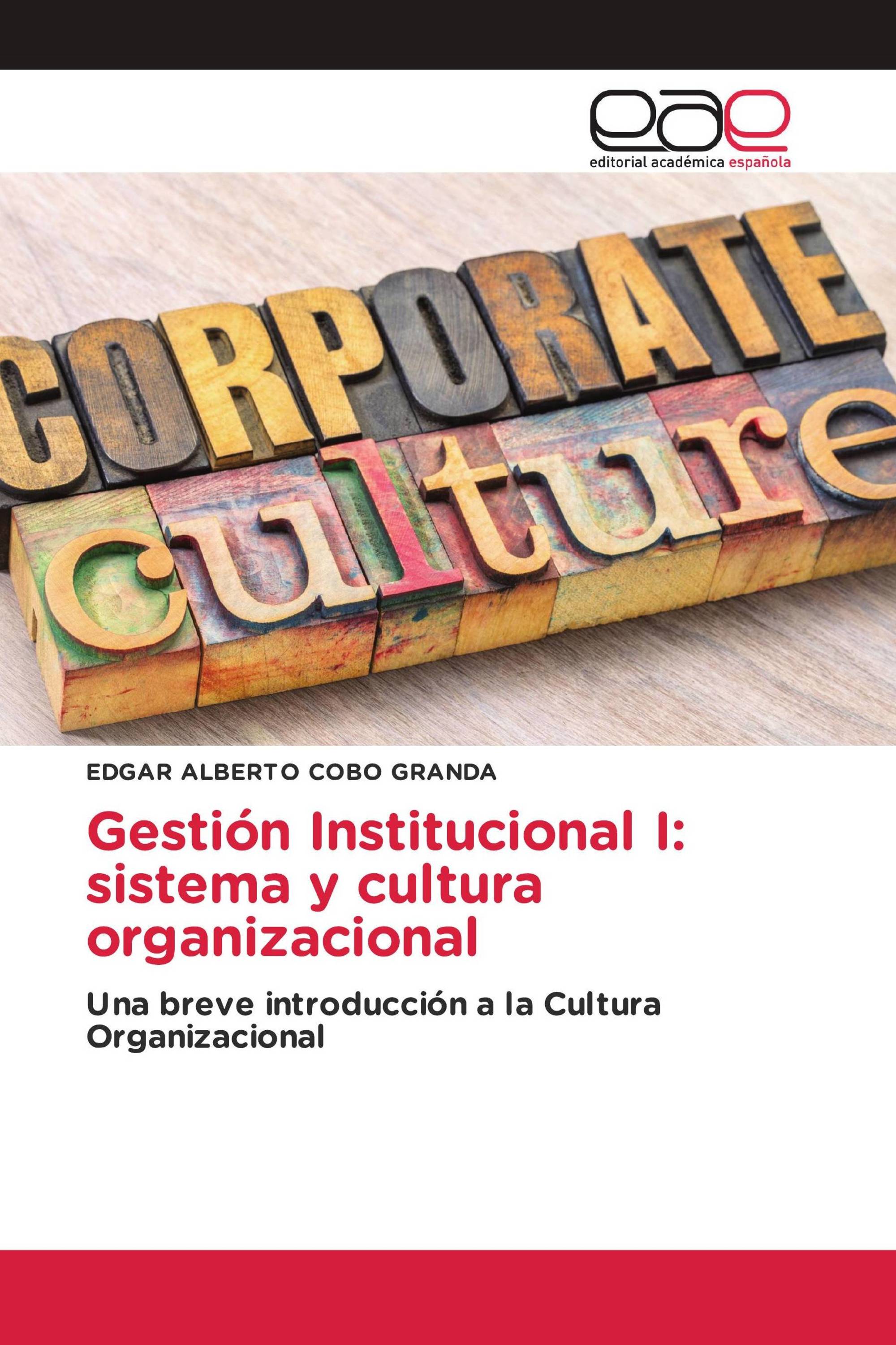 Gestión Institucional I: sistema y cultura organizacional