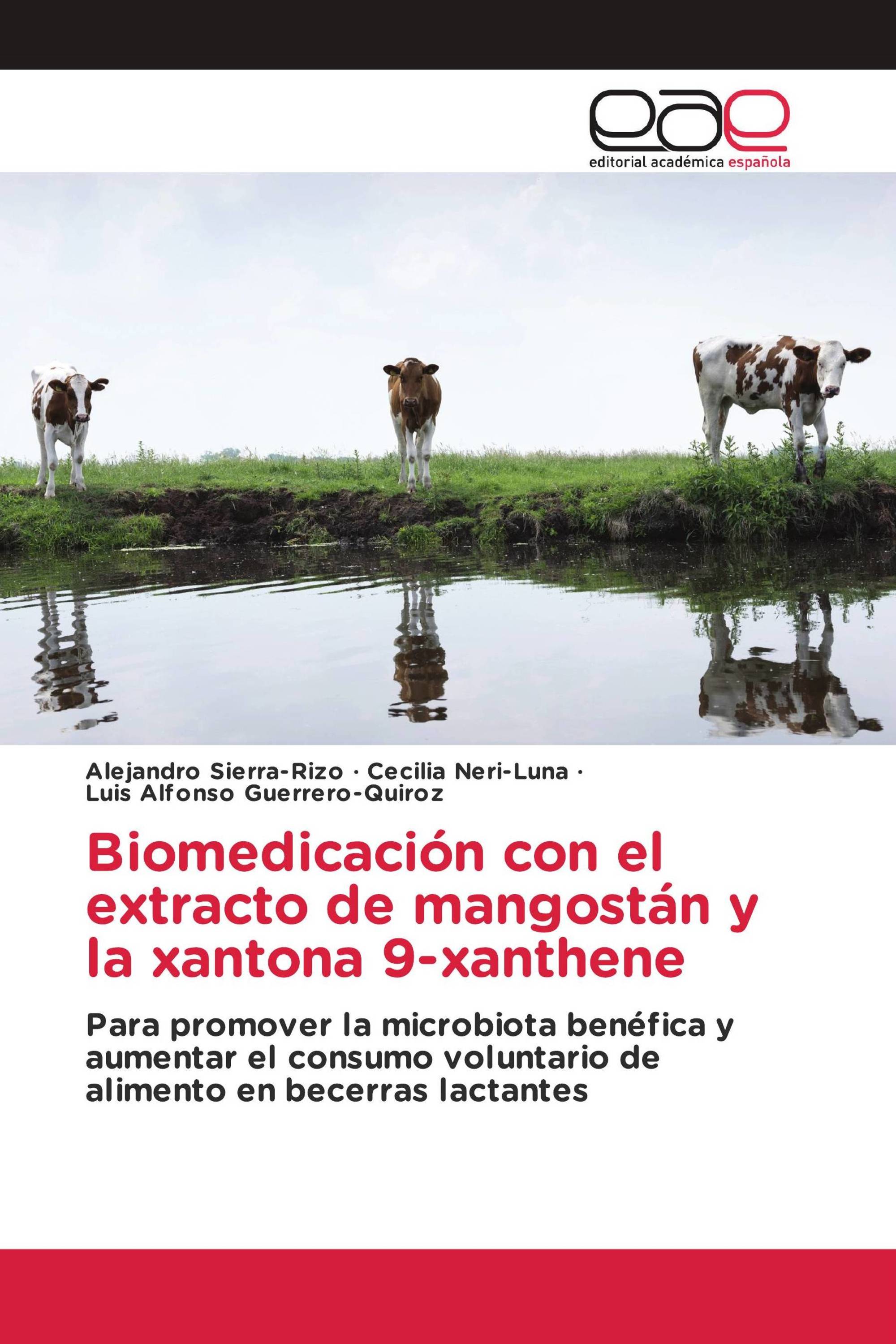 Biomedicación con el extracto de mangostán y la xantona 9-xanthene