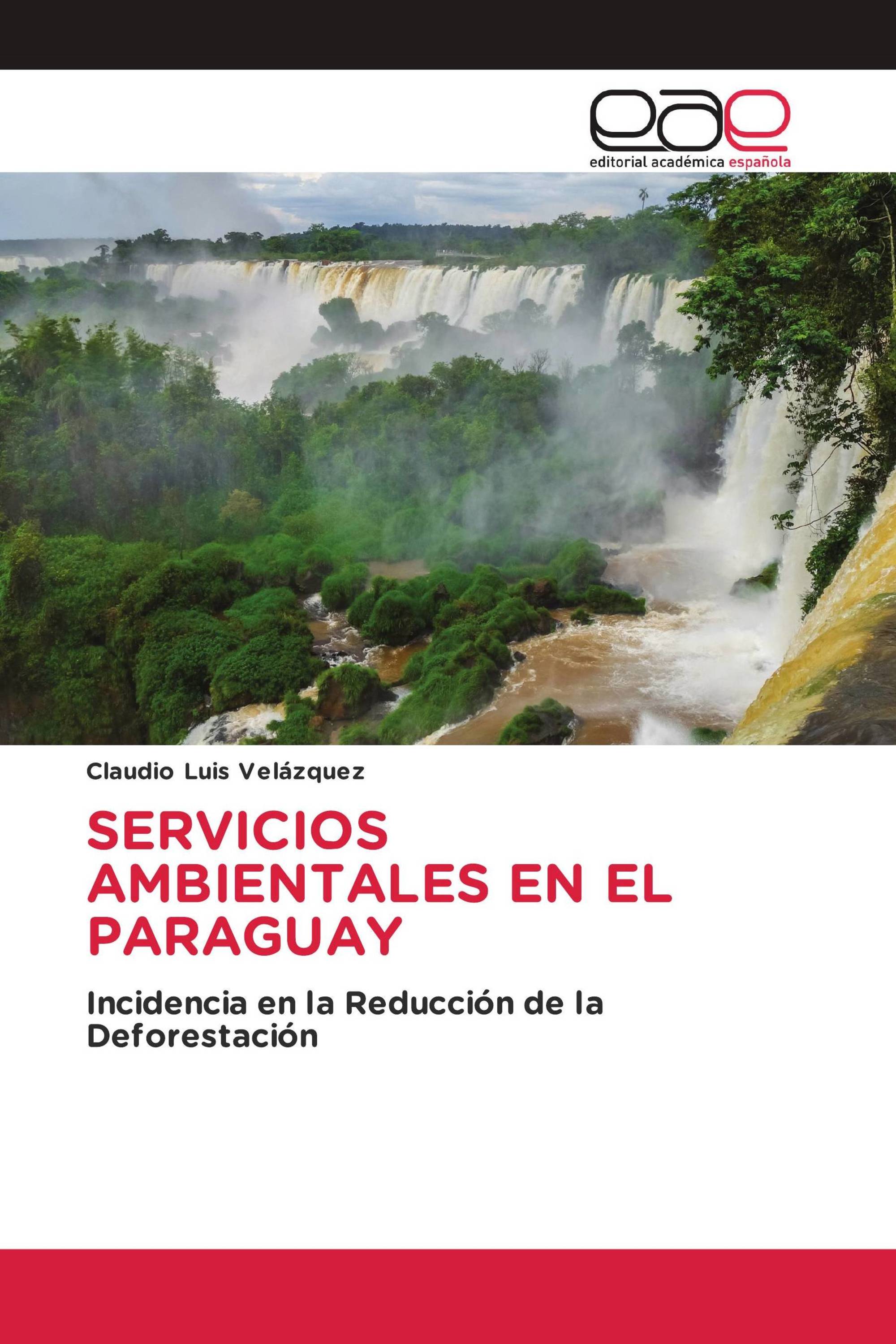 SERVICIOS AMBIENTALES EN EL PARAGUAY