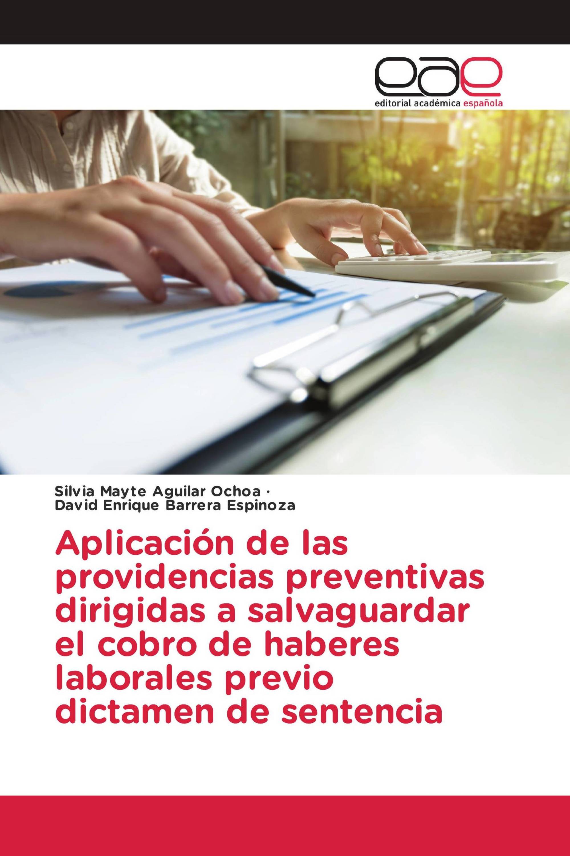 Aplicación de las providencias preventivas dirigidas a salvaguardar el cobro de haberes laborales previo dictamen de sentencia