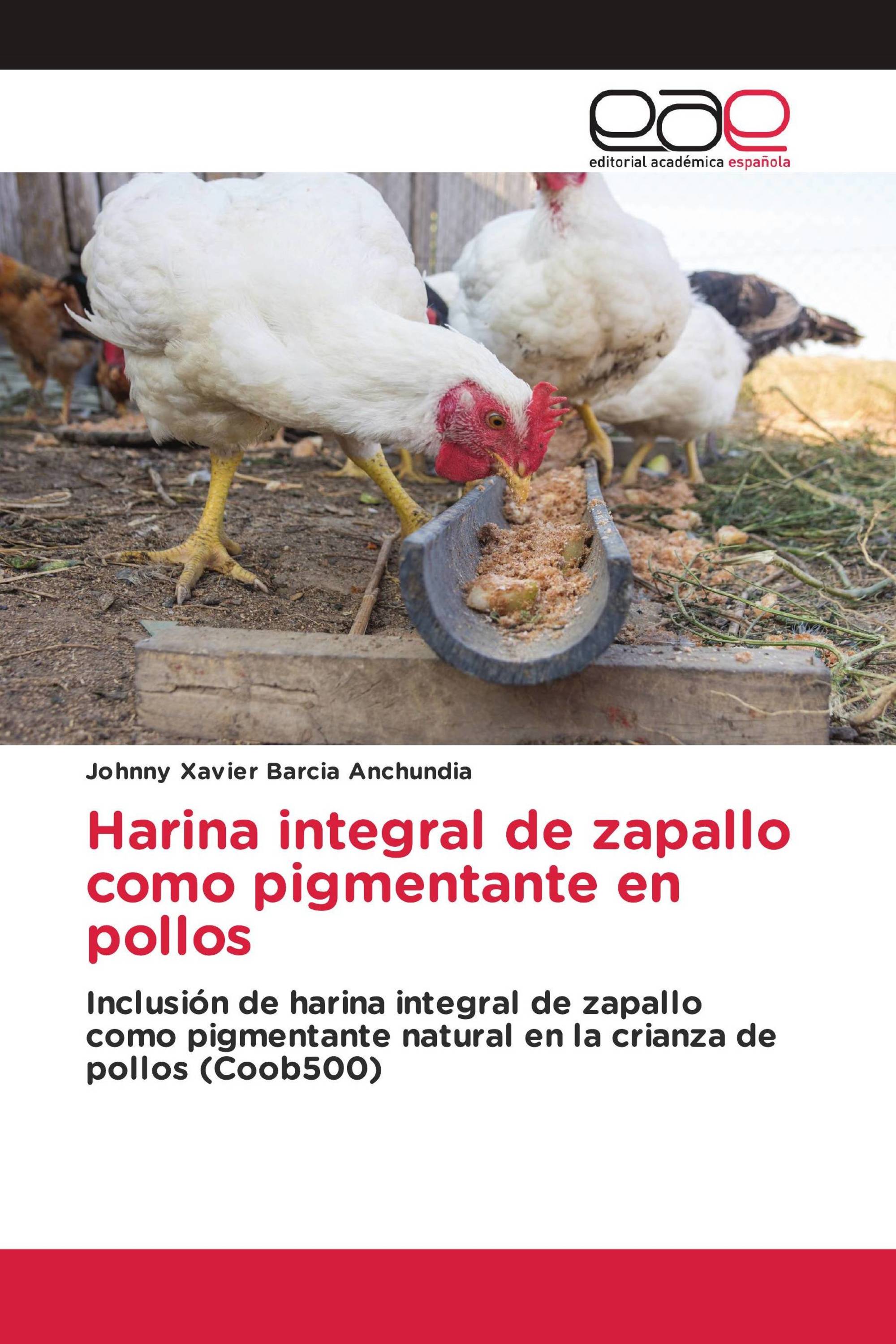 Harina integral de zapallo como pigmentante en pollos