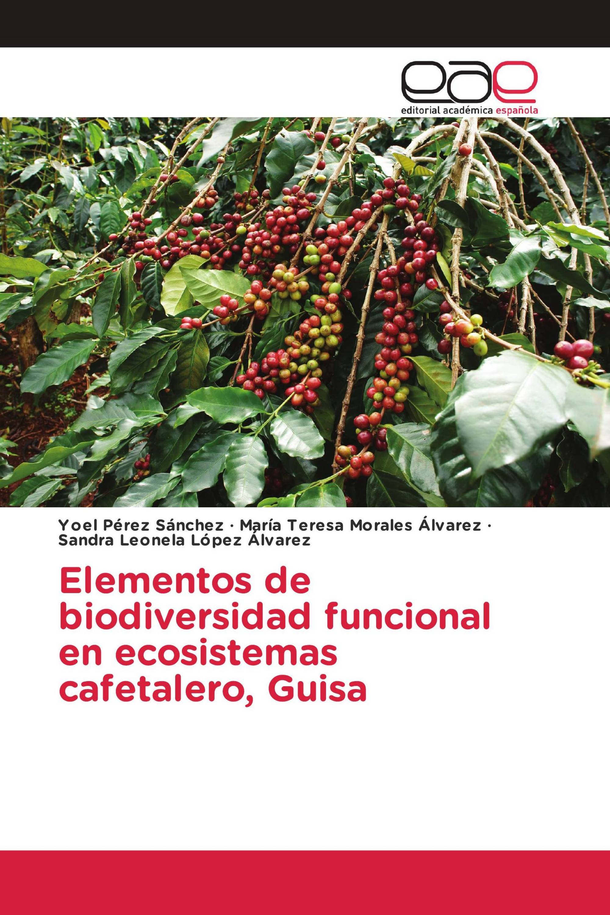 Elementos de biodiversidad funcional en ecosistemas cafetalero, Guisa