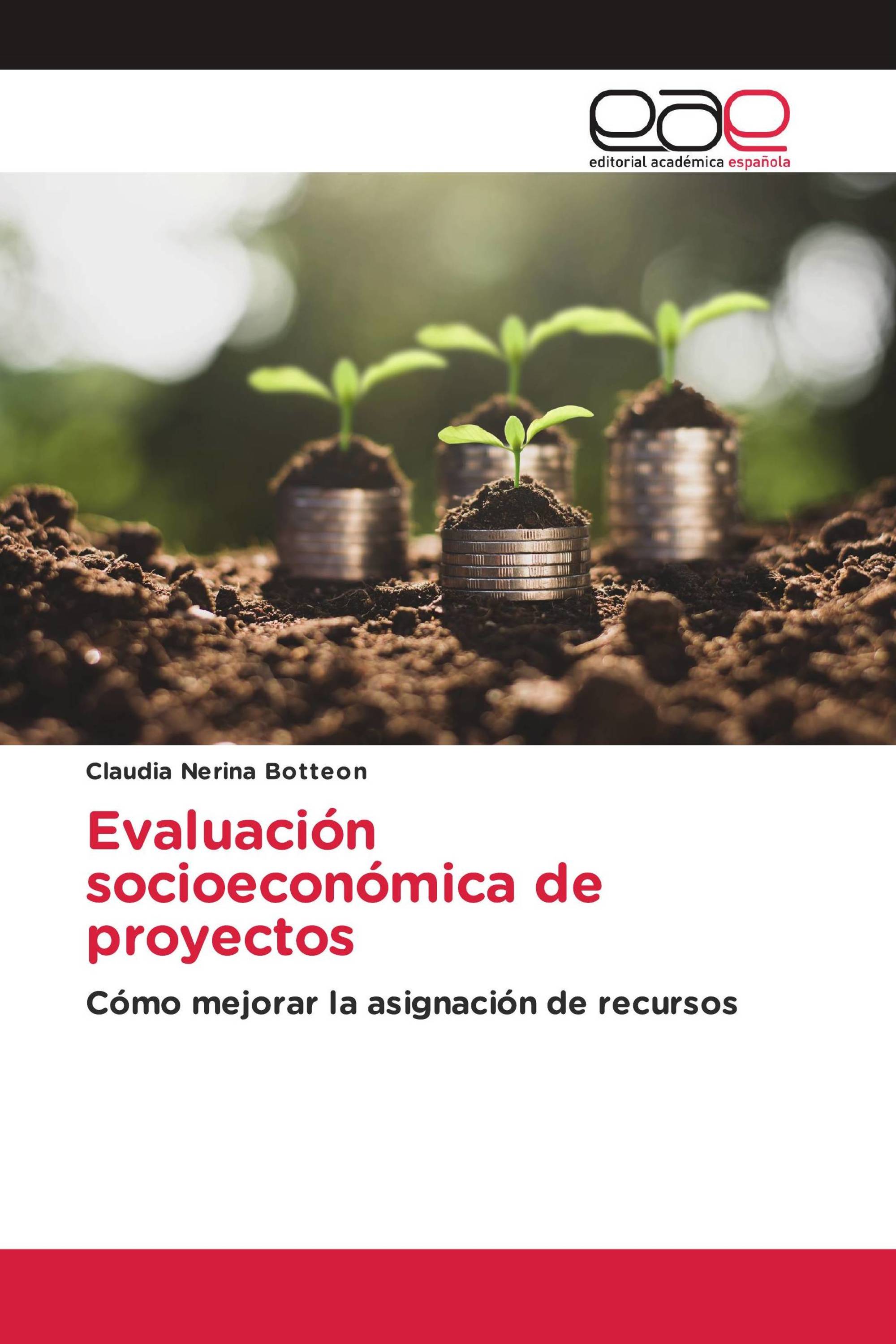 Evaluación socioeconómica de proyectos