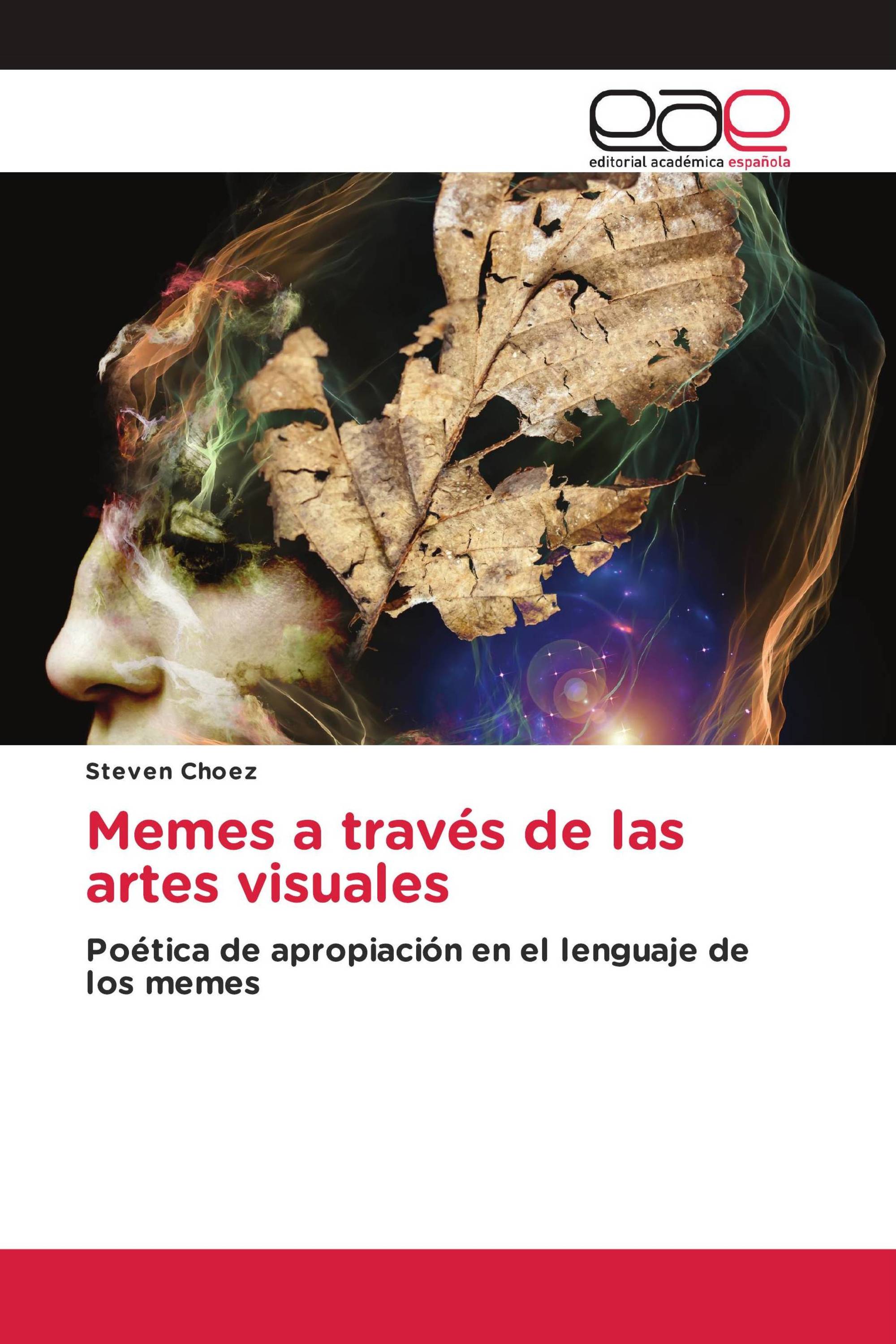 Memes a través de las artes visuales