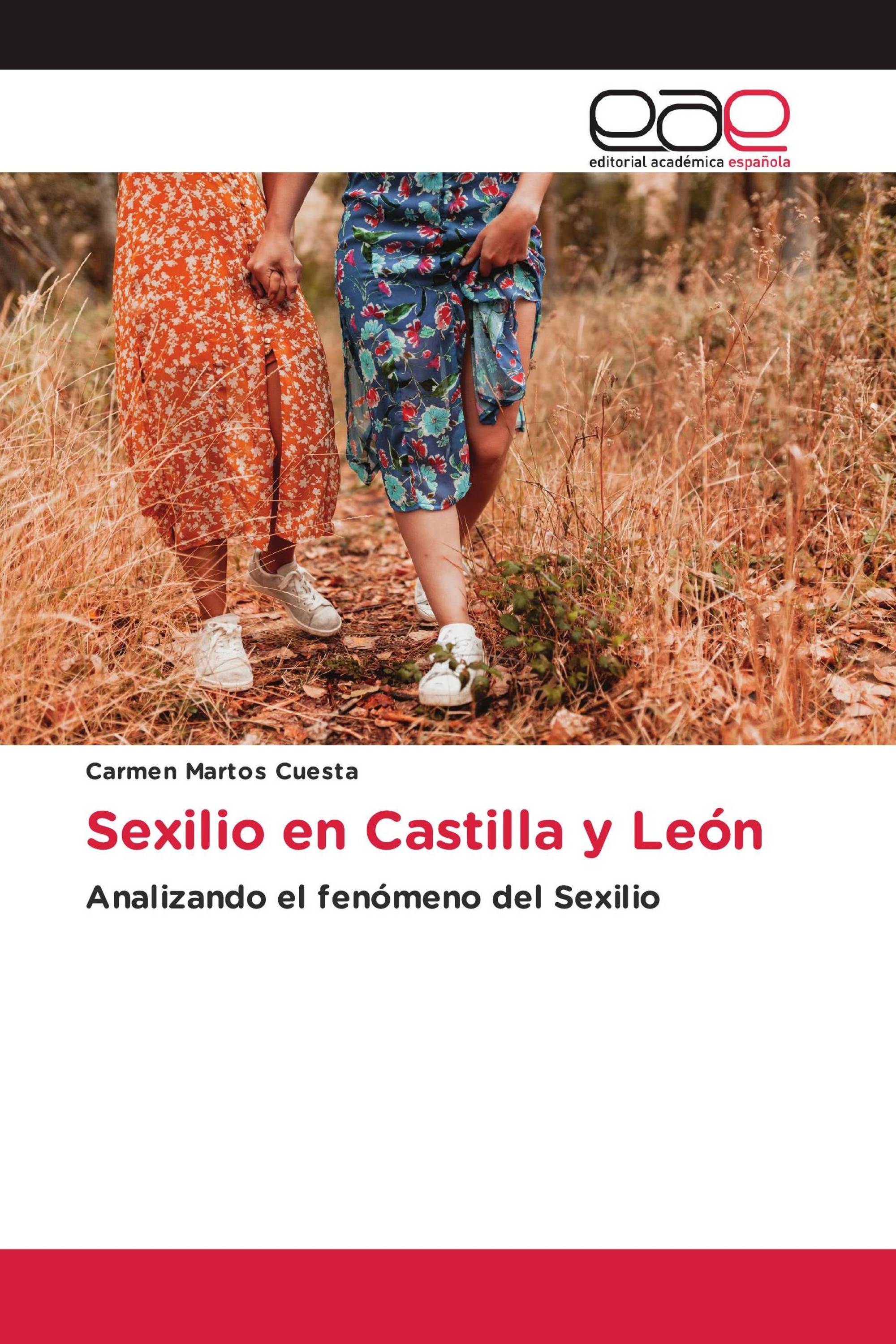 Sexilio en Castilla y León