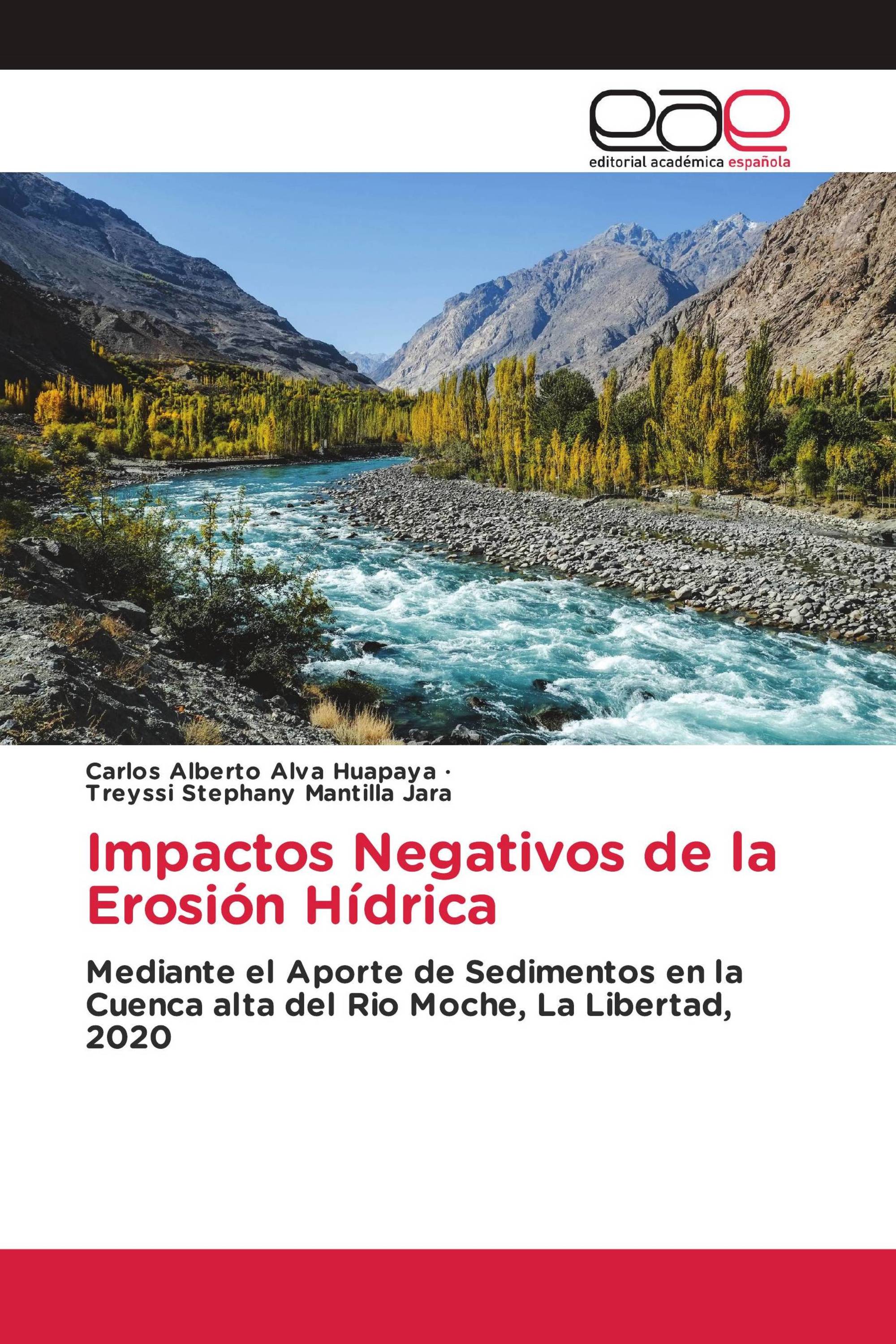 Impactos Negativos de la Erosión Hídrica