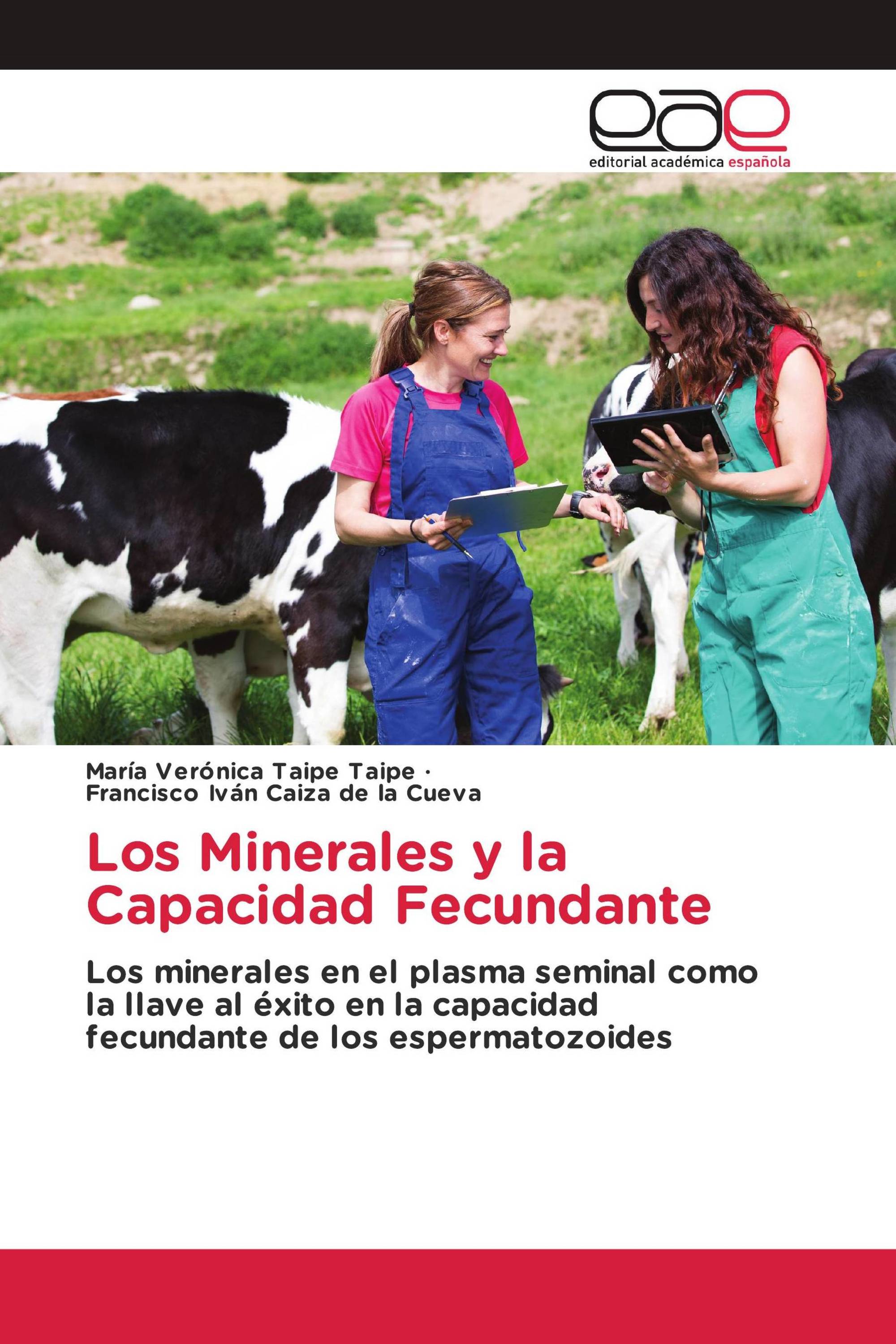 Los Minerales y la Capacidad Fecundante