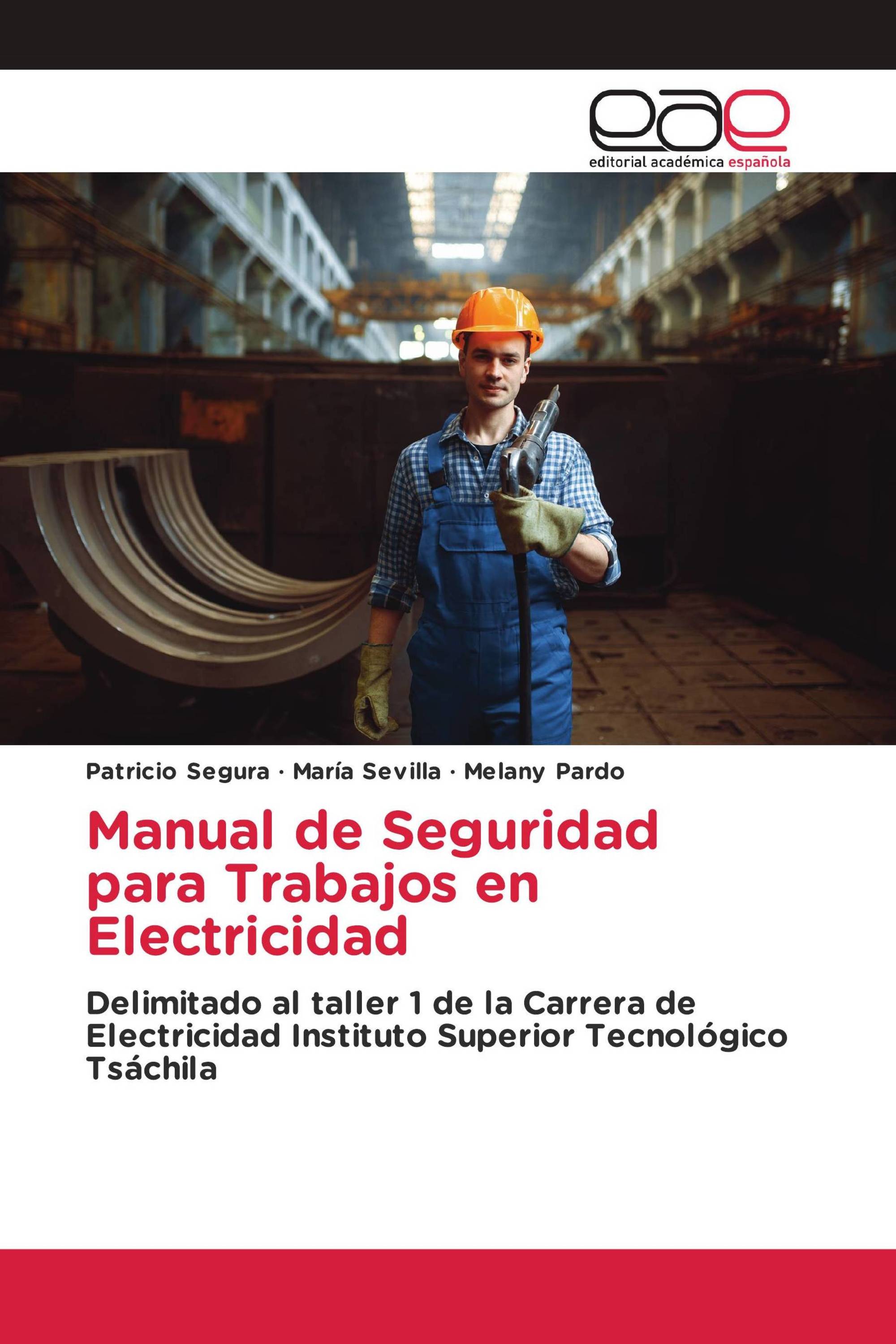 Manual de Seguridad para Trabajos en Electricidad