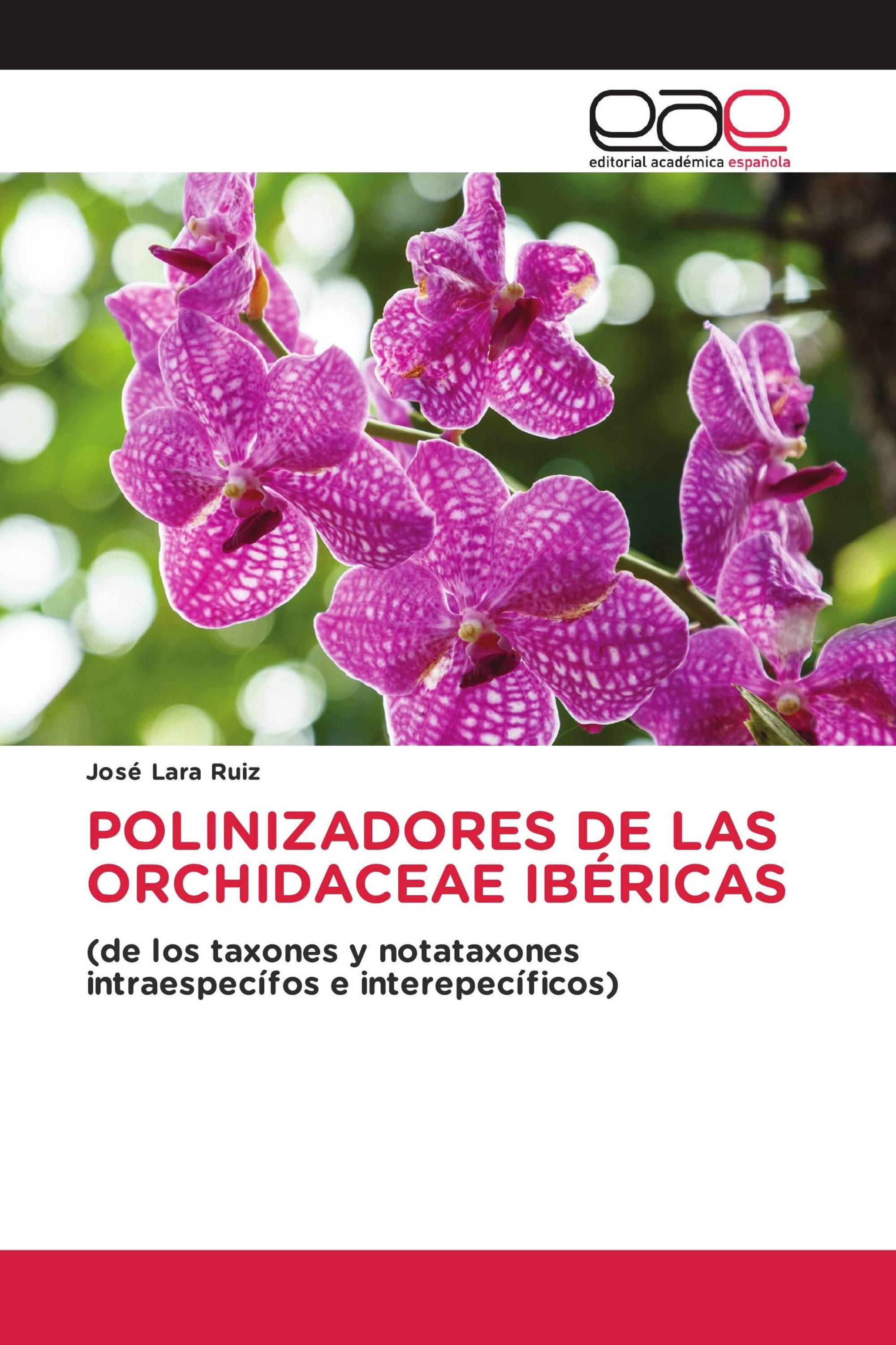 POLINIZADORES DE LAS ORCHIDACEAE IBÉRICAS