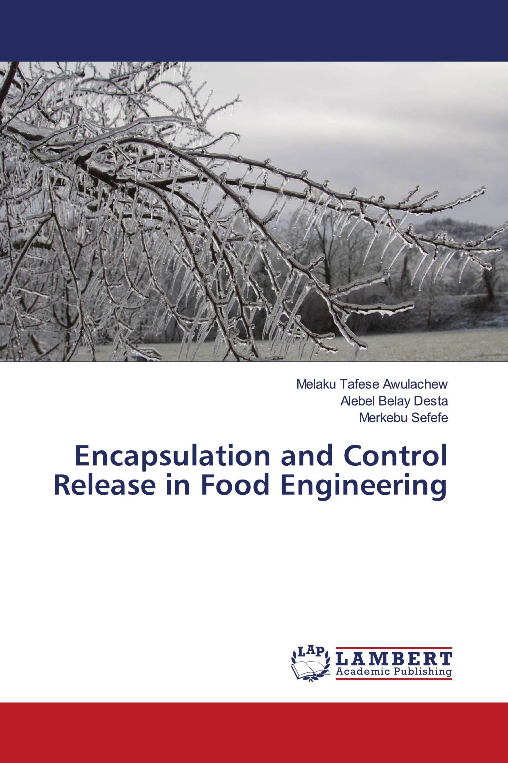 Encapsulation and Control Release in Food Engineering