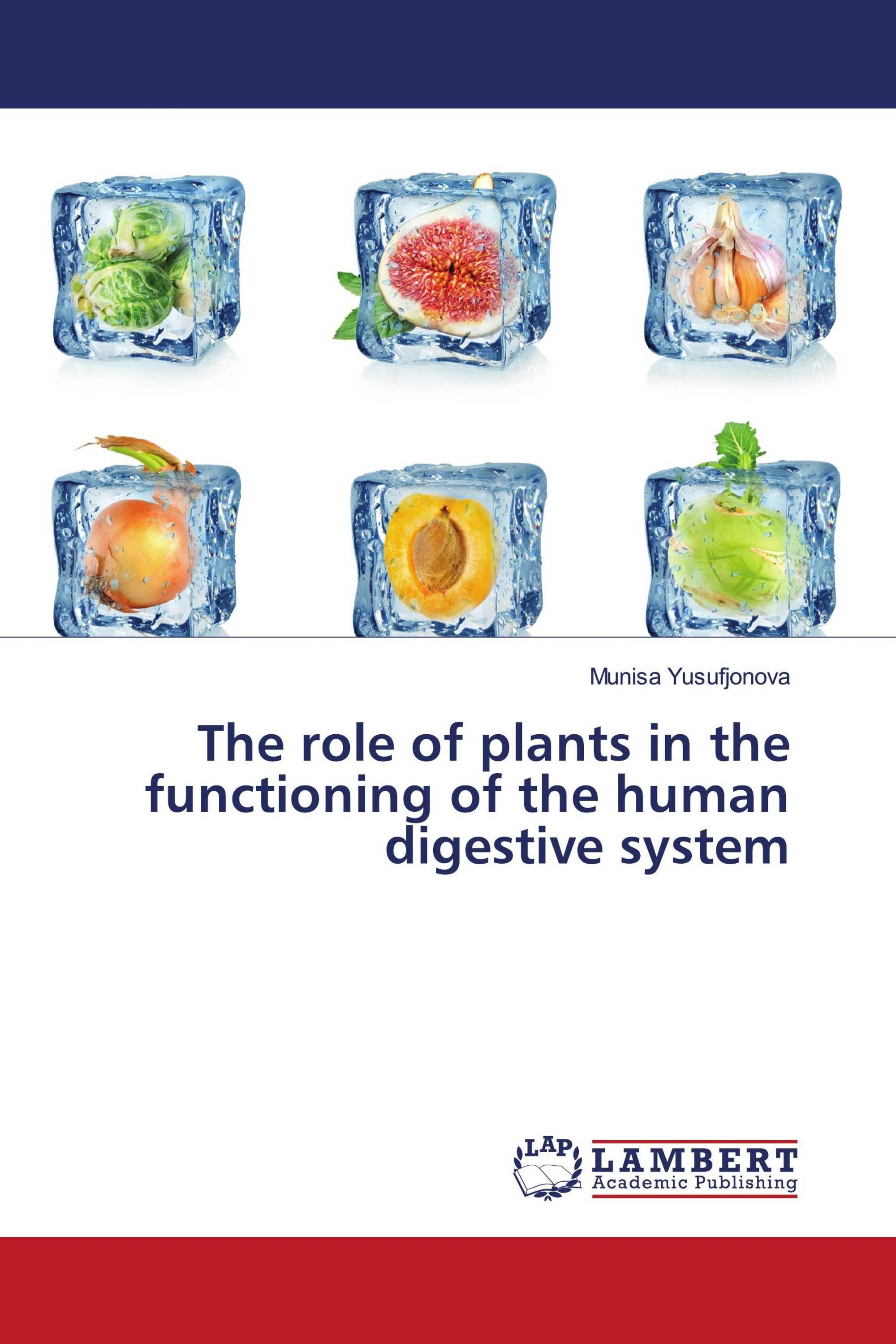 The role of plants in the functioning of the human digestive system ...