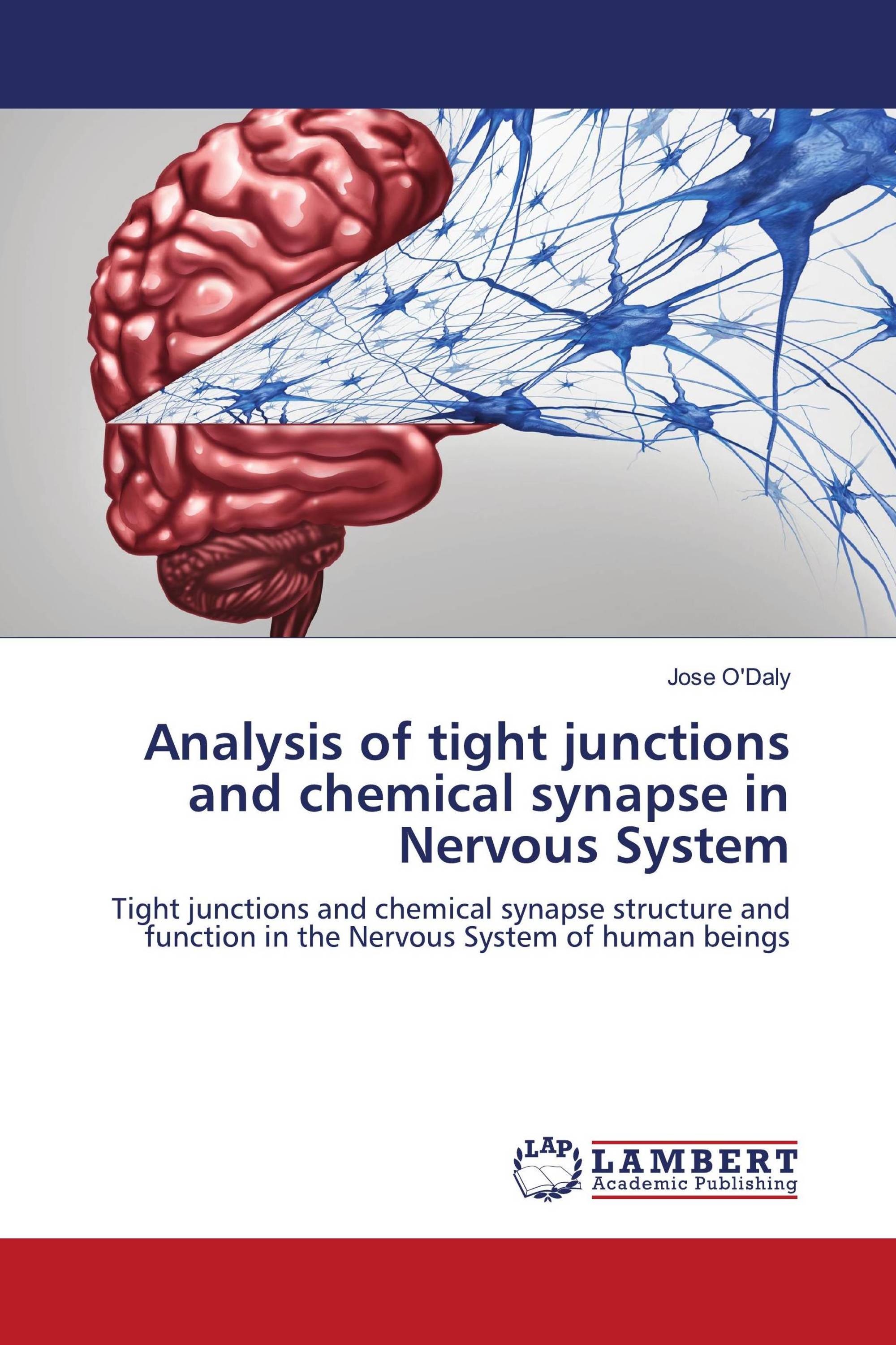 Analysis of tight junctions and chemical synapse in Nervous System