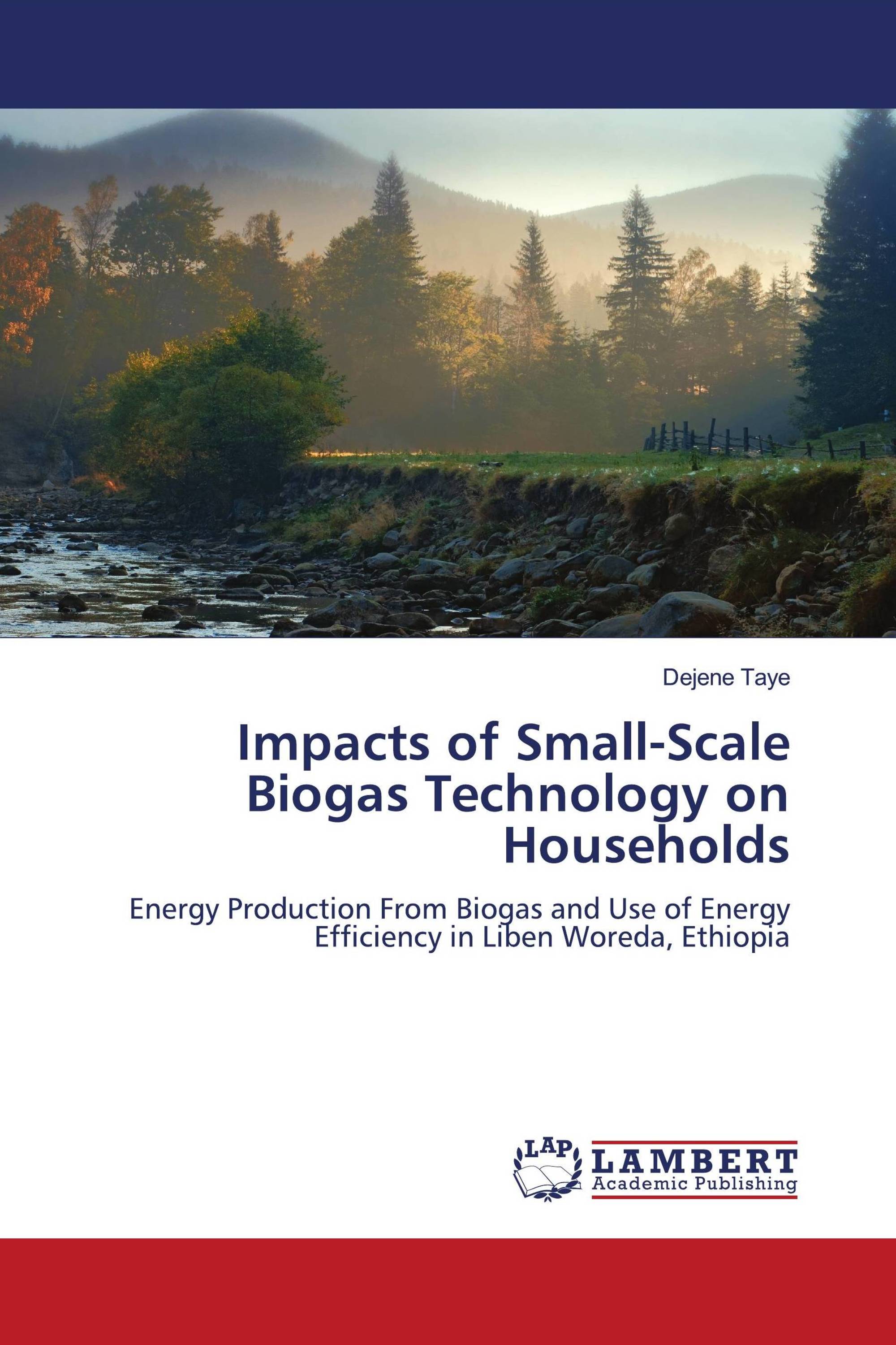 Impacts Of Small-Scale Biogas Technology On Households / 978-620-4 ...