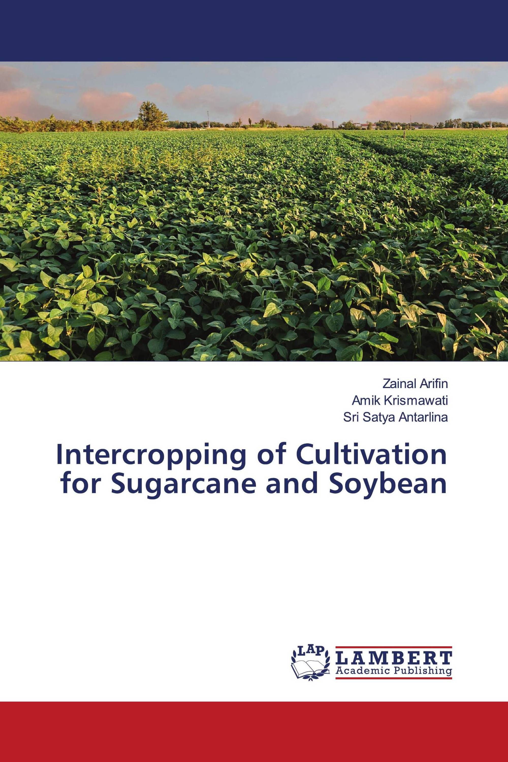 Intercropping of Cultivation for Sugarcane and Soybean