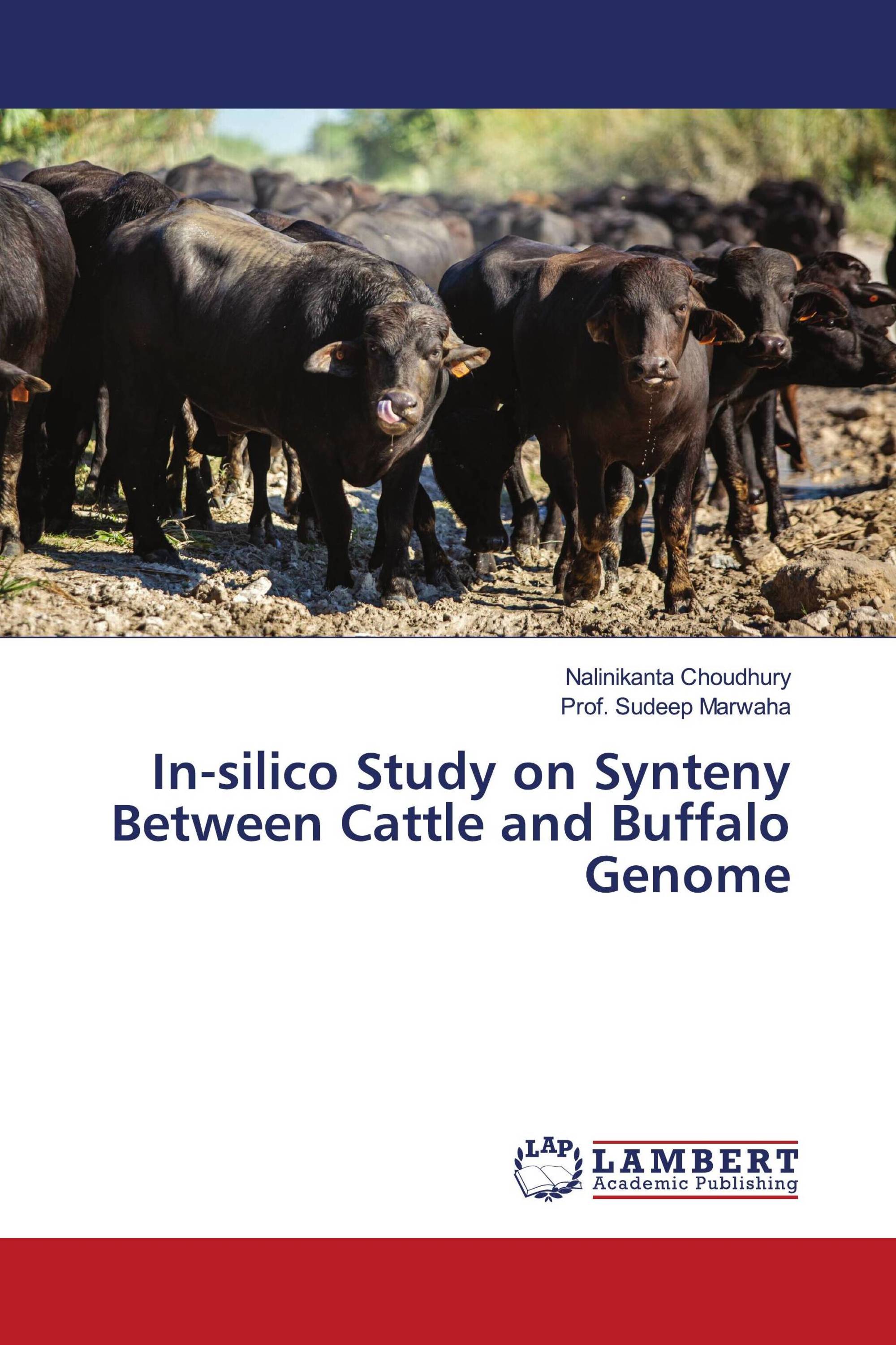 In-silico Study on Synteny Between Cattle and Buffalo Genome