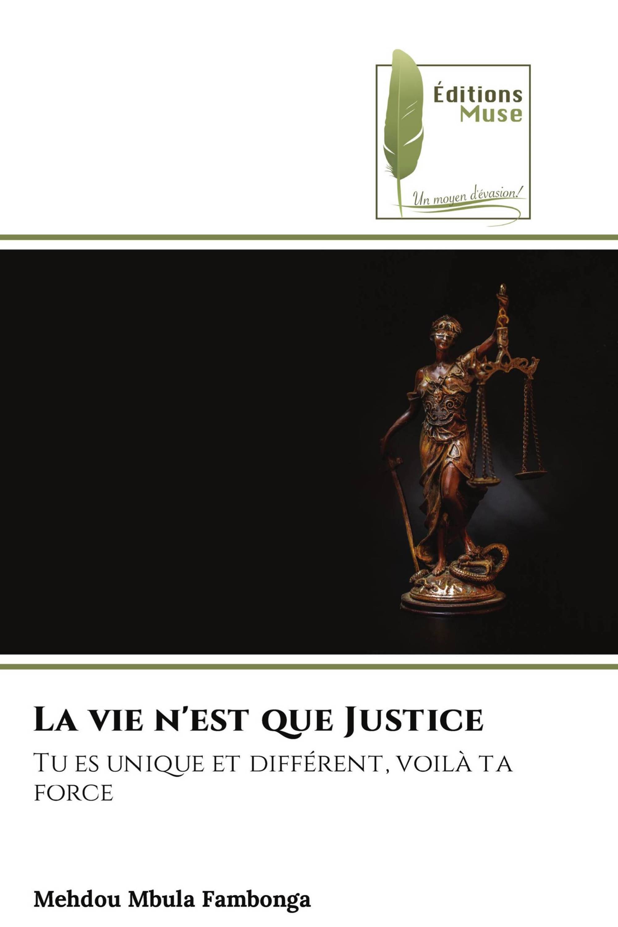 La vie n'est que Justice