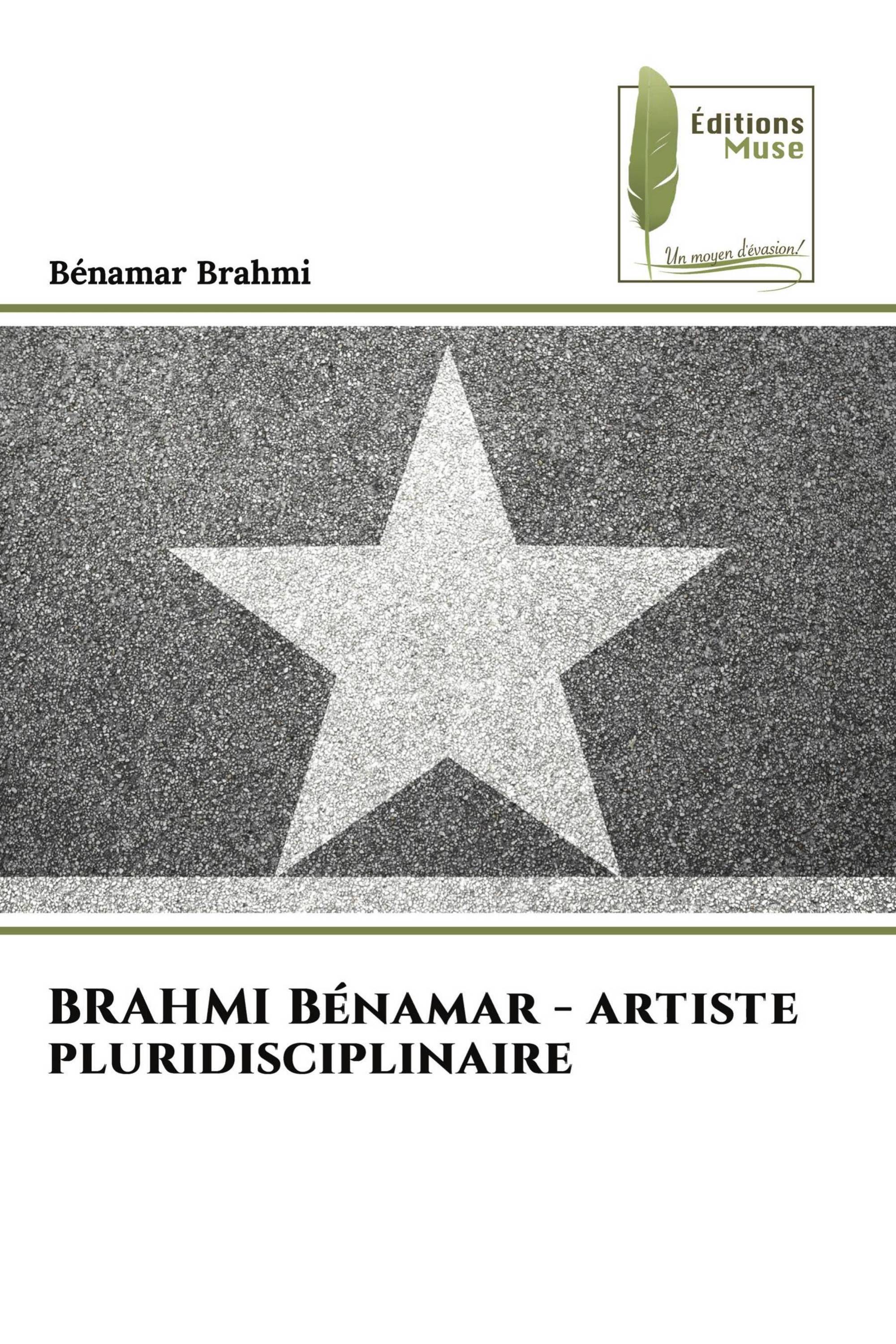 BRAHMI Bénamar - artiste pluridisciplinaire