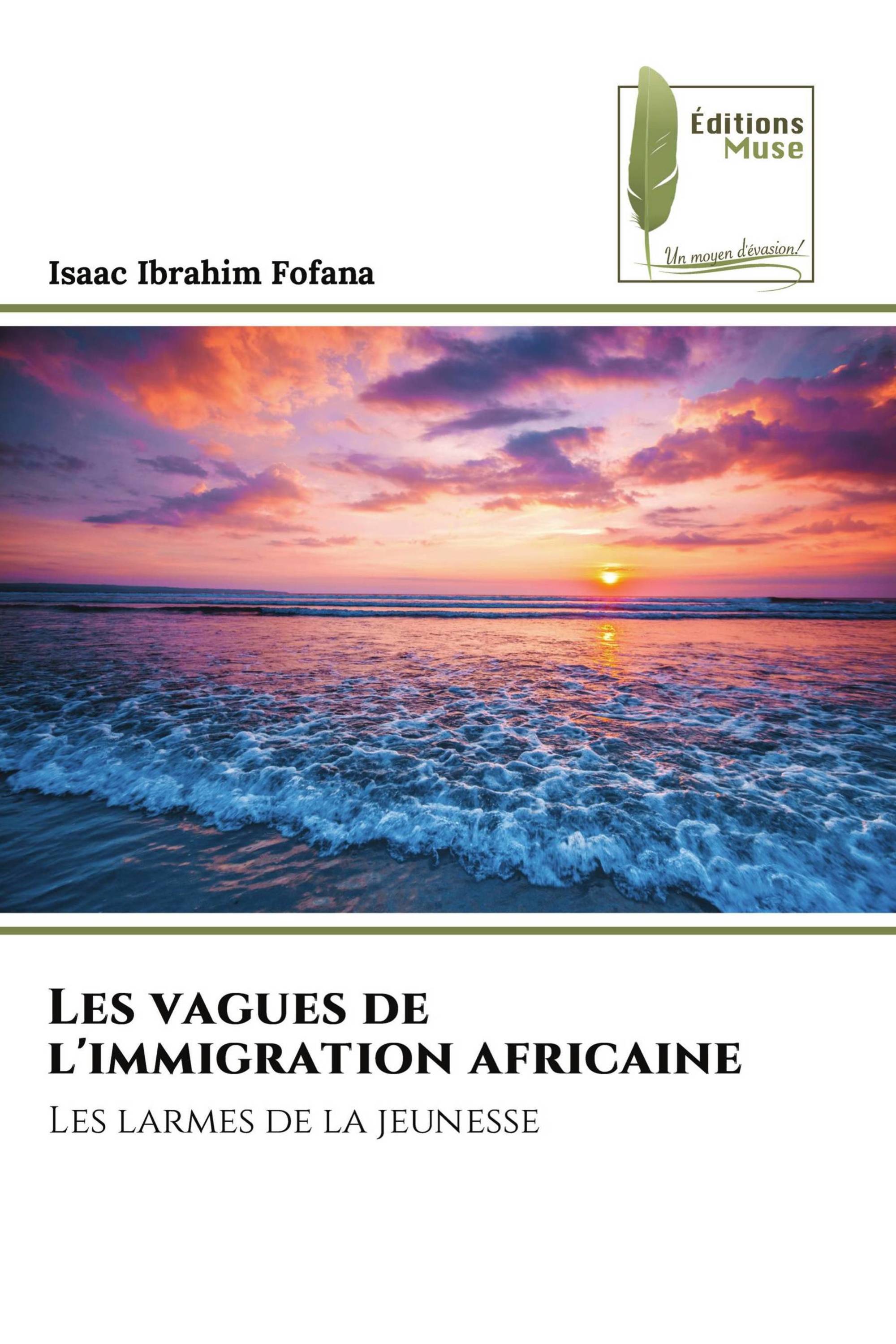 Les vagues de l'immigration africaine