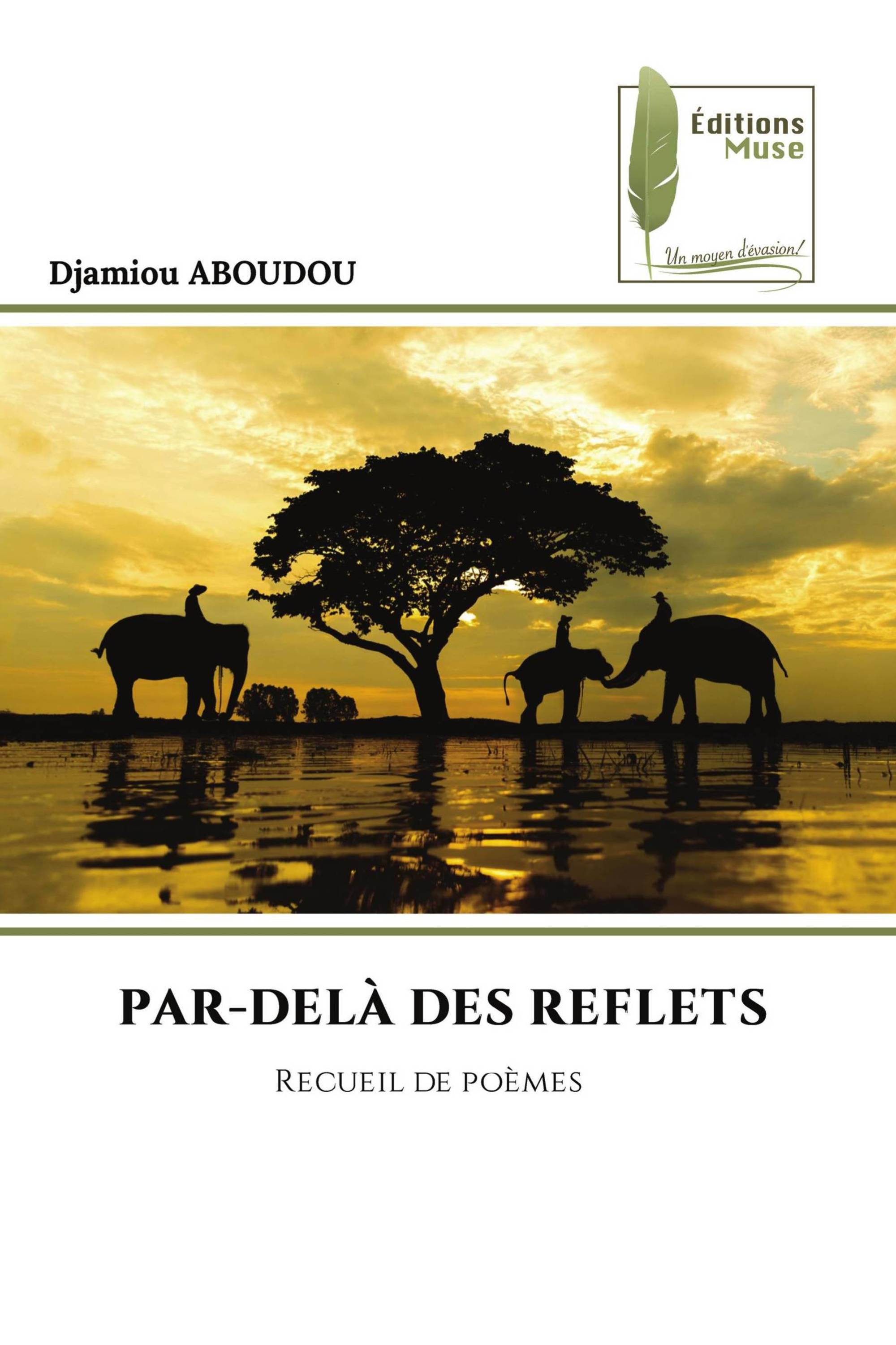 PAR-DELÀ DES REFLETS