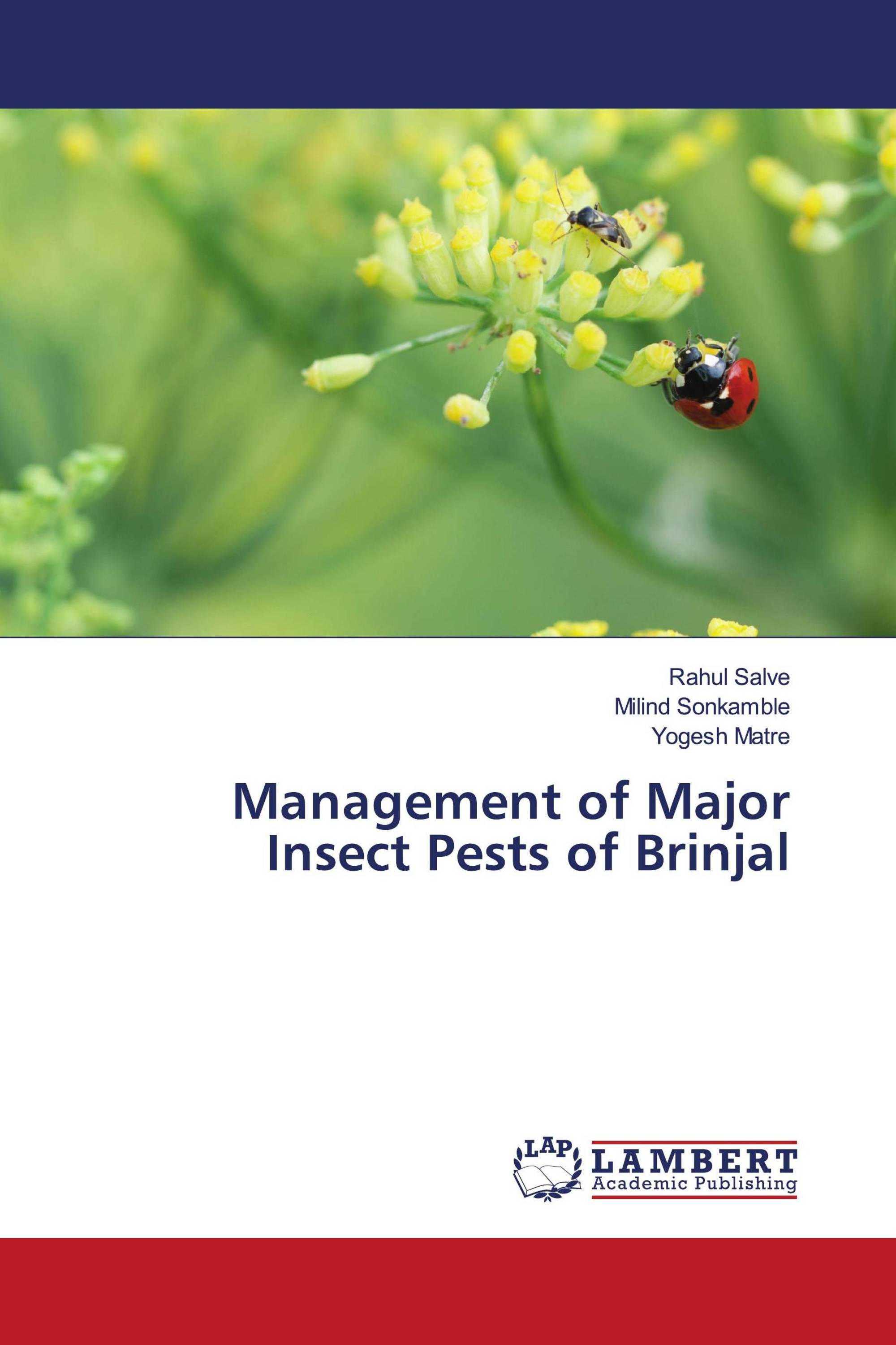 Management of Major Insect Pests of Brinjal