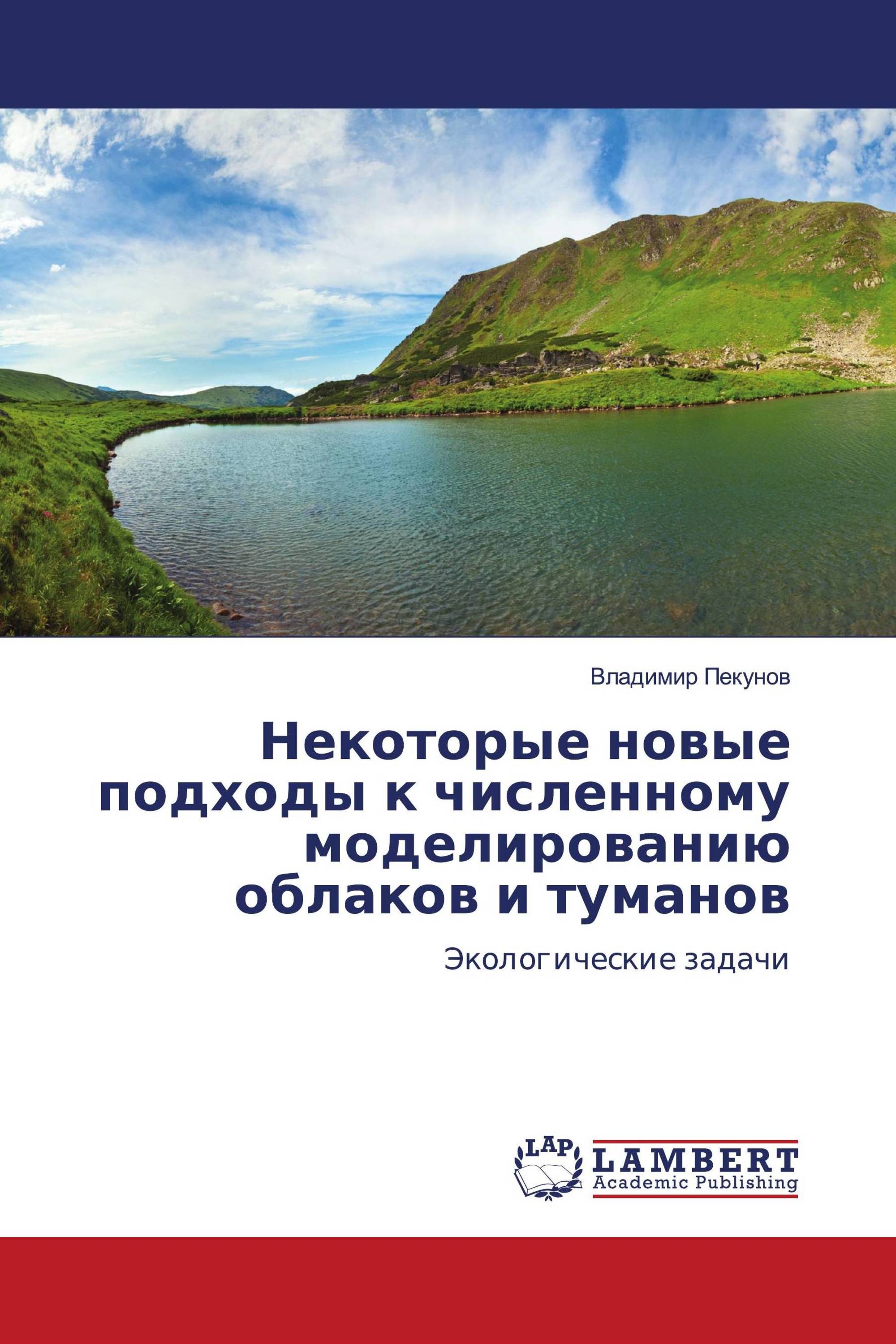 Некоторые новые подходы к численному моделированию облаков и туманов