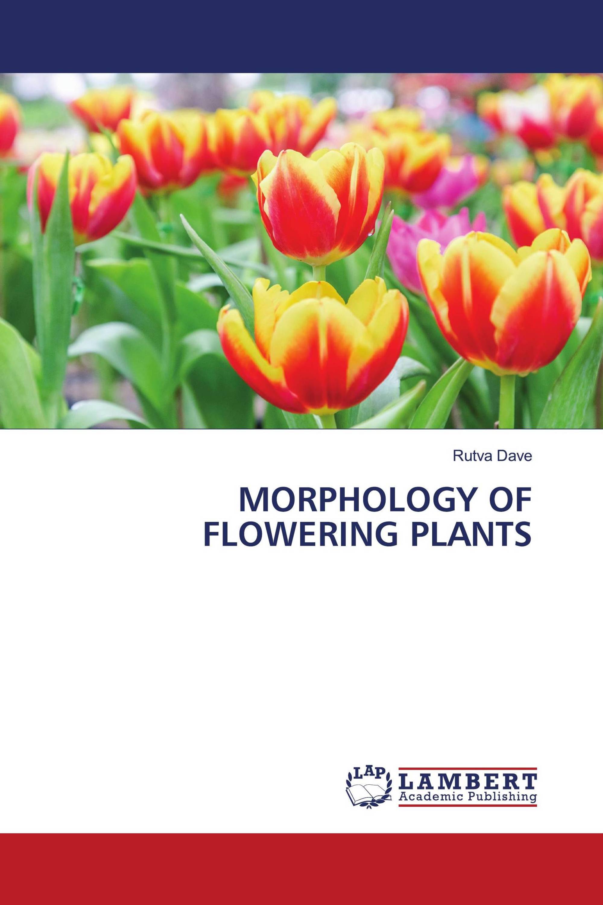 MORPHOLOGY OF FLOWERING PLANTS / 978-620-5-49146-1 / 9786205491461 ...