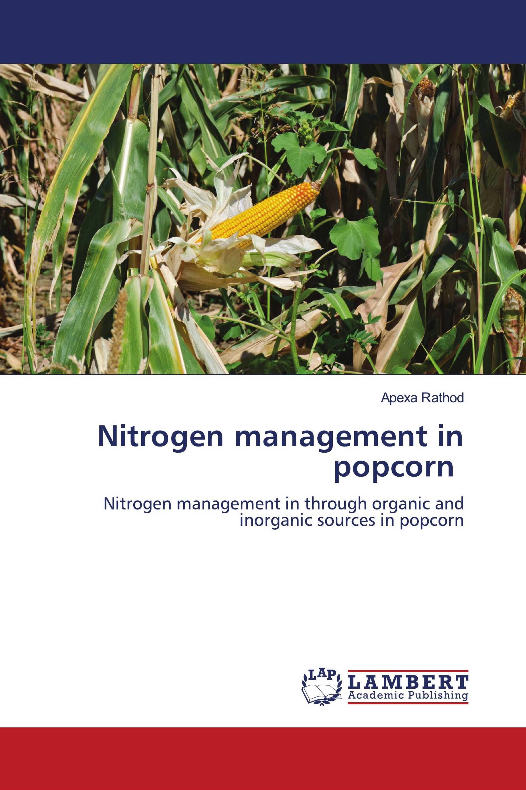 Nitrogen management in popcorn / 9786205496893 / 9786205496893