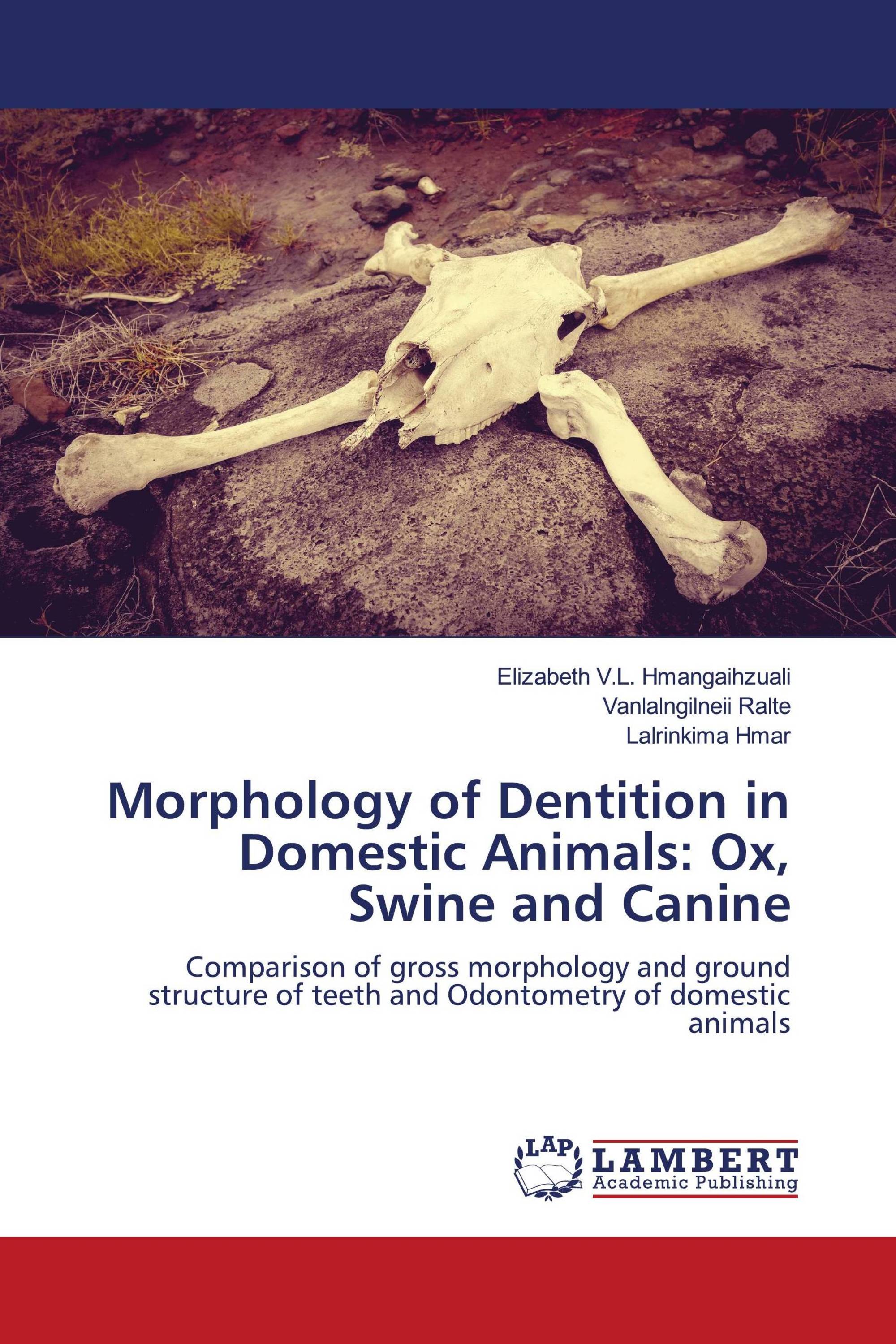 Morphology of Dentition in Domestic Animals: Ox, Swine and Canine