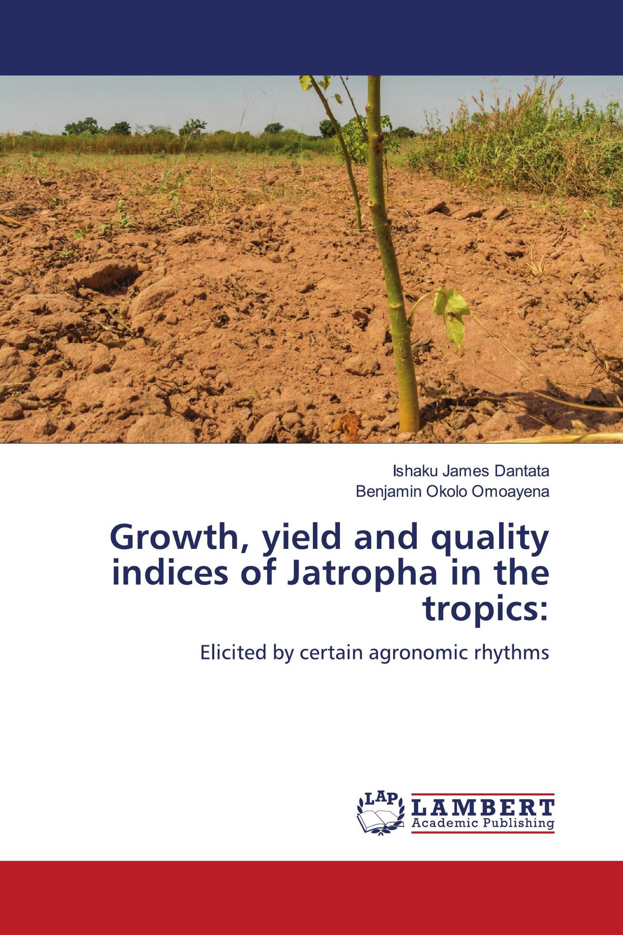 Growth, yield and quality indices of Jatropha in the tropics: