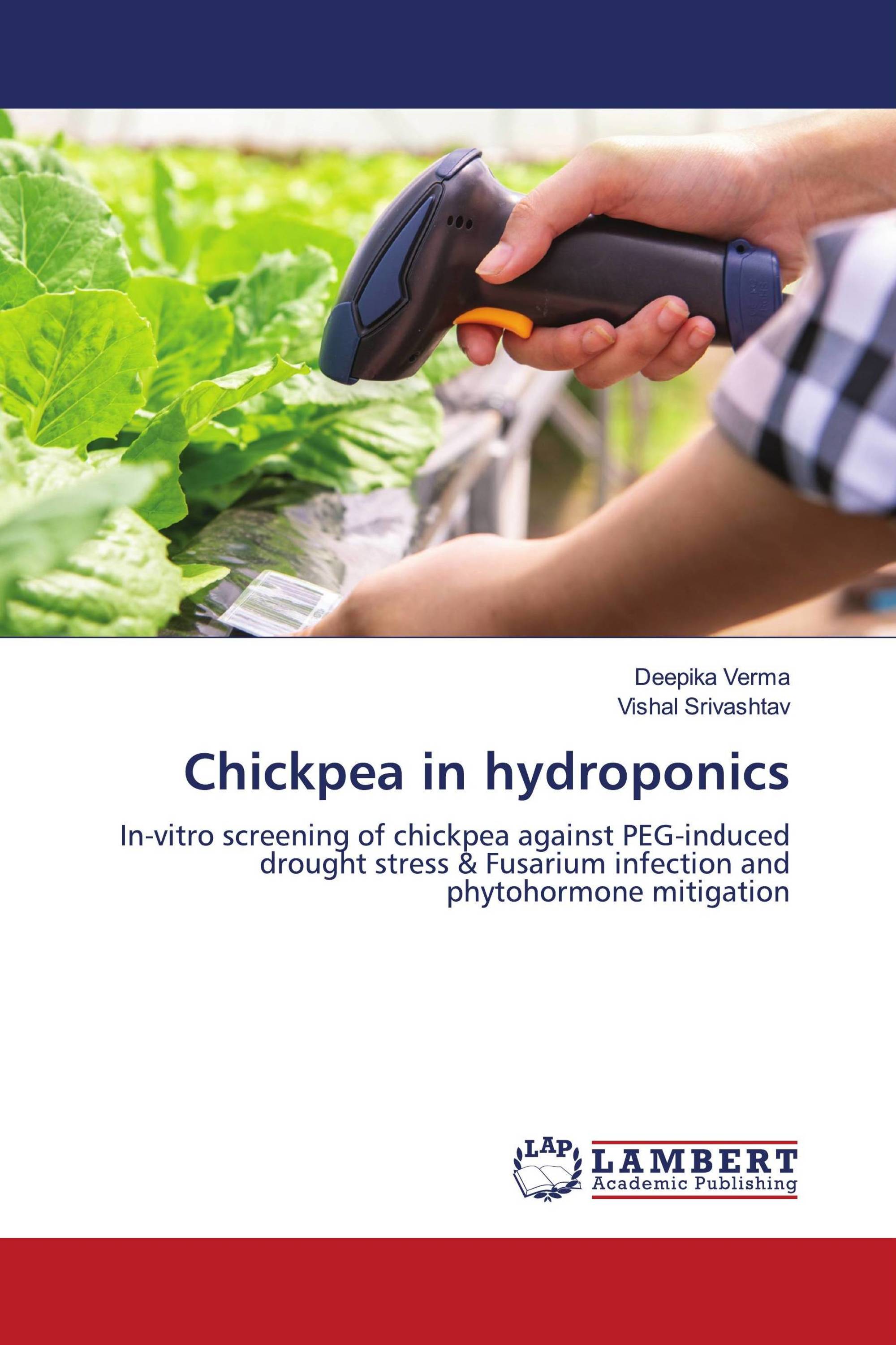 Chickpea in hydroponics