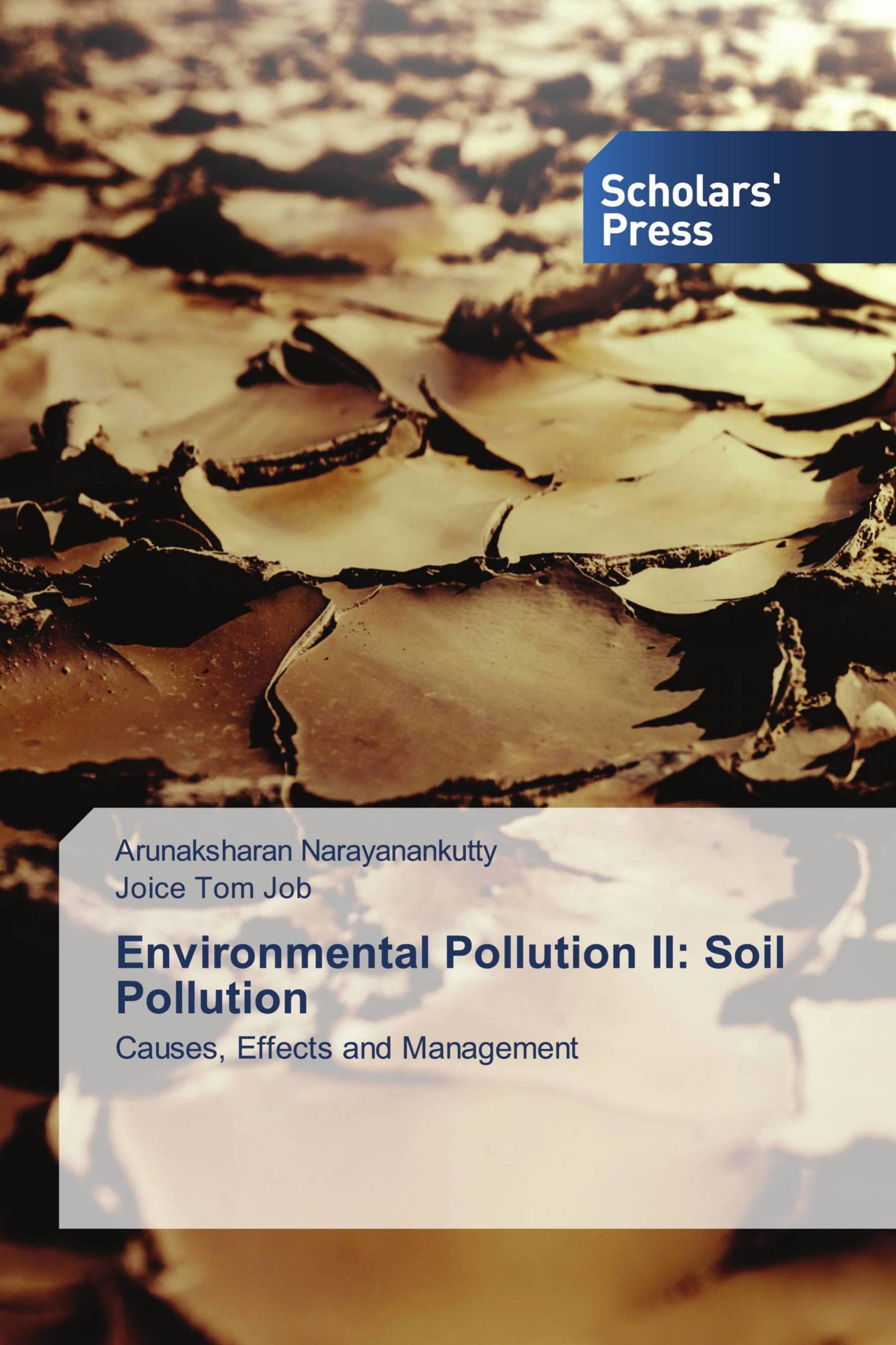 Environmental Pollution II: Soil Pollution