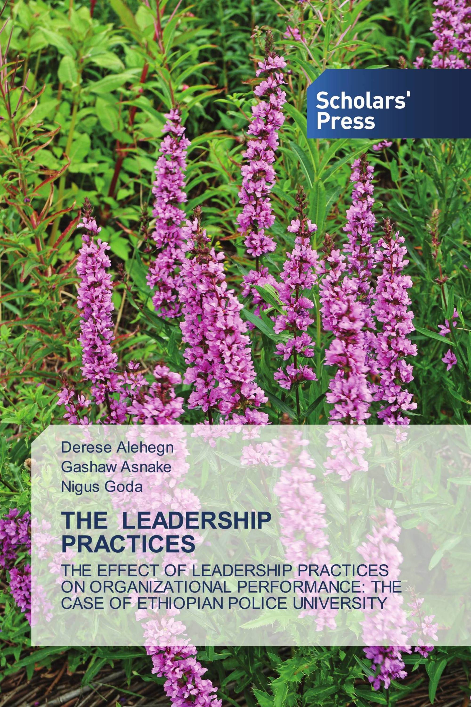 THE LEADERSHIP PRACTICES