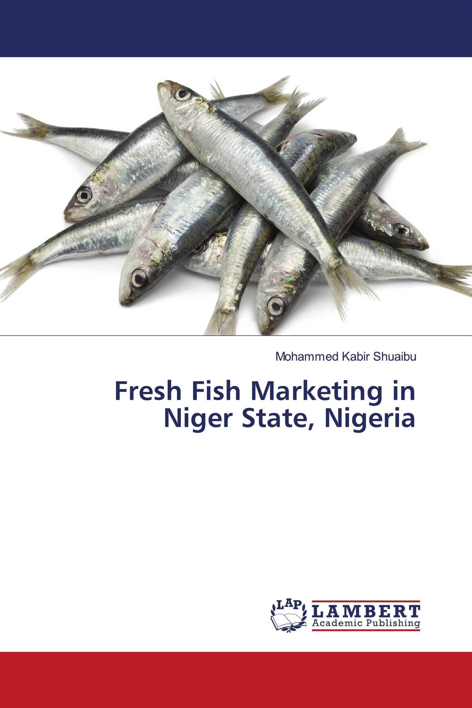 Fresh Fish Marketing in Niger State, Nigeria