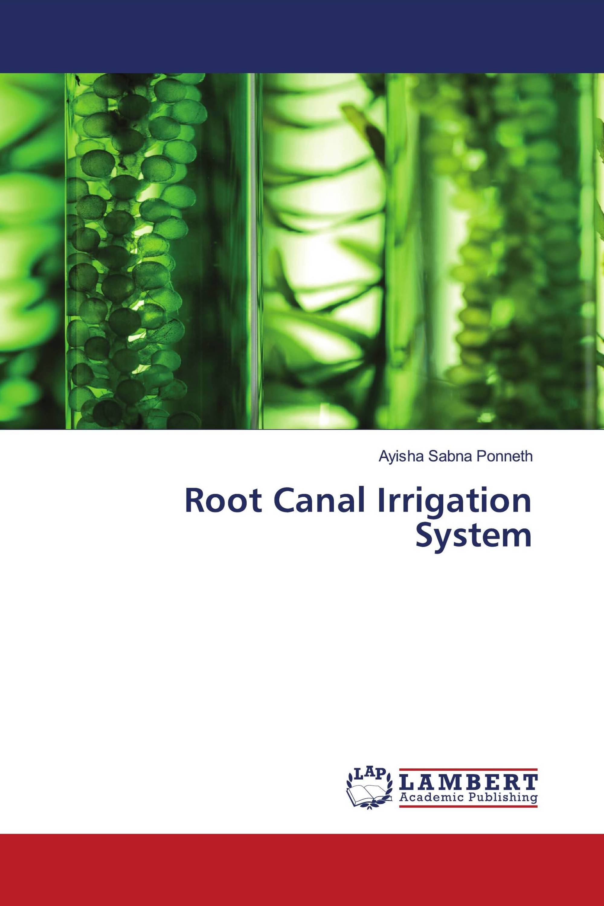 Root Canal Irrigation System / 978-620-6-14389-5 / 9786206143895 ...