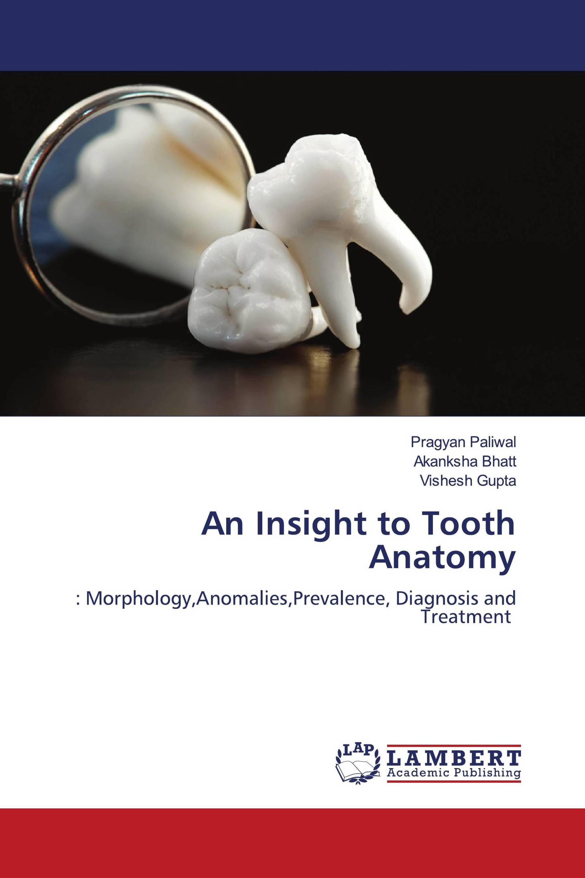 An Insight to Tooth Anatomy