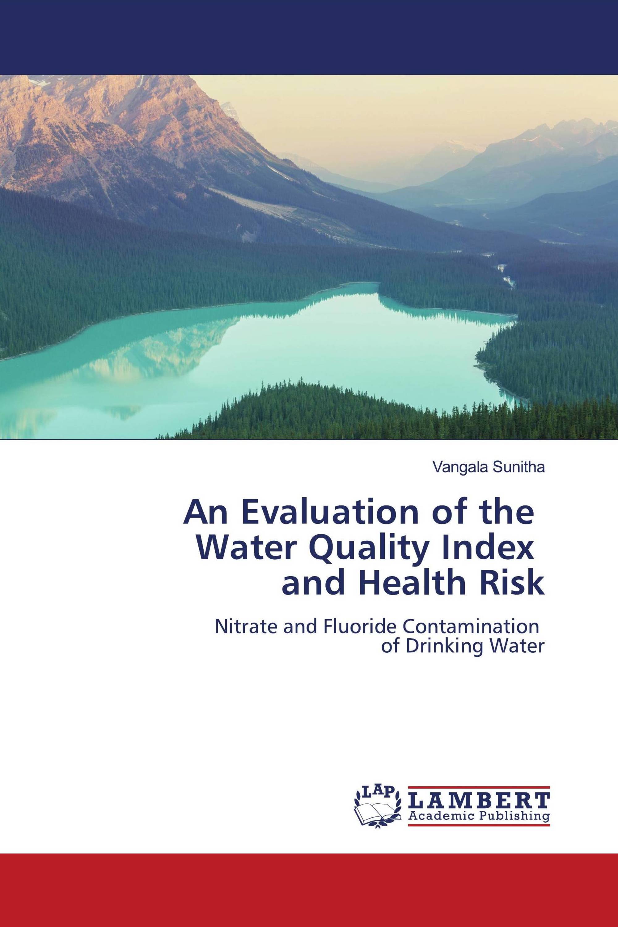 An Evaluation of the Water Quality Index and Health Risk