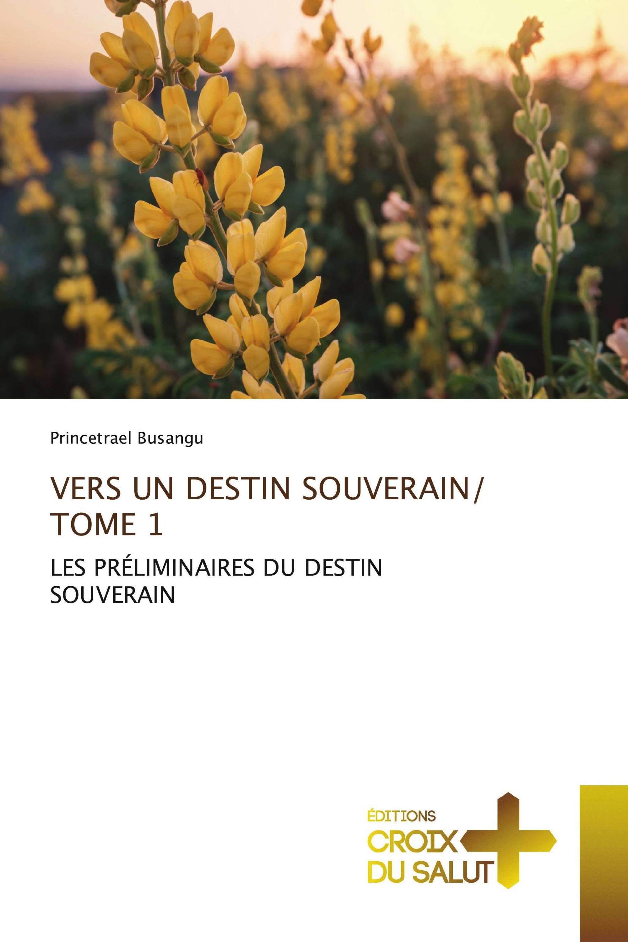 VERS UN DESTIN SOUVERAIN/ TOME 1