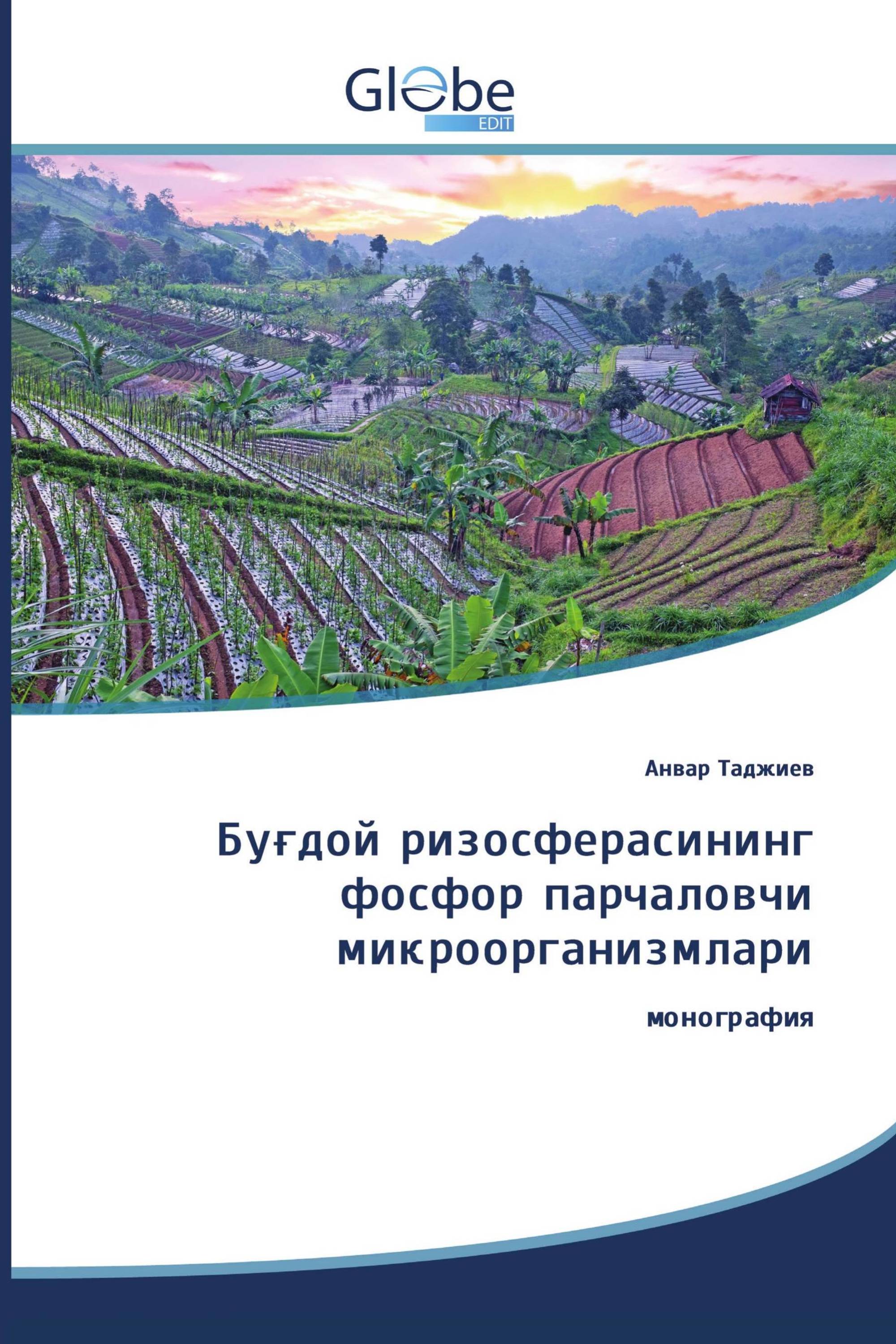 Буғдой ризосферасининг фосфор парчаловчи микроорганизмлари