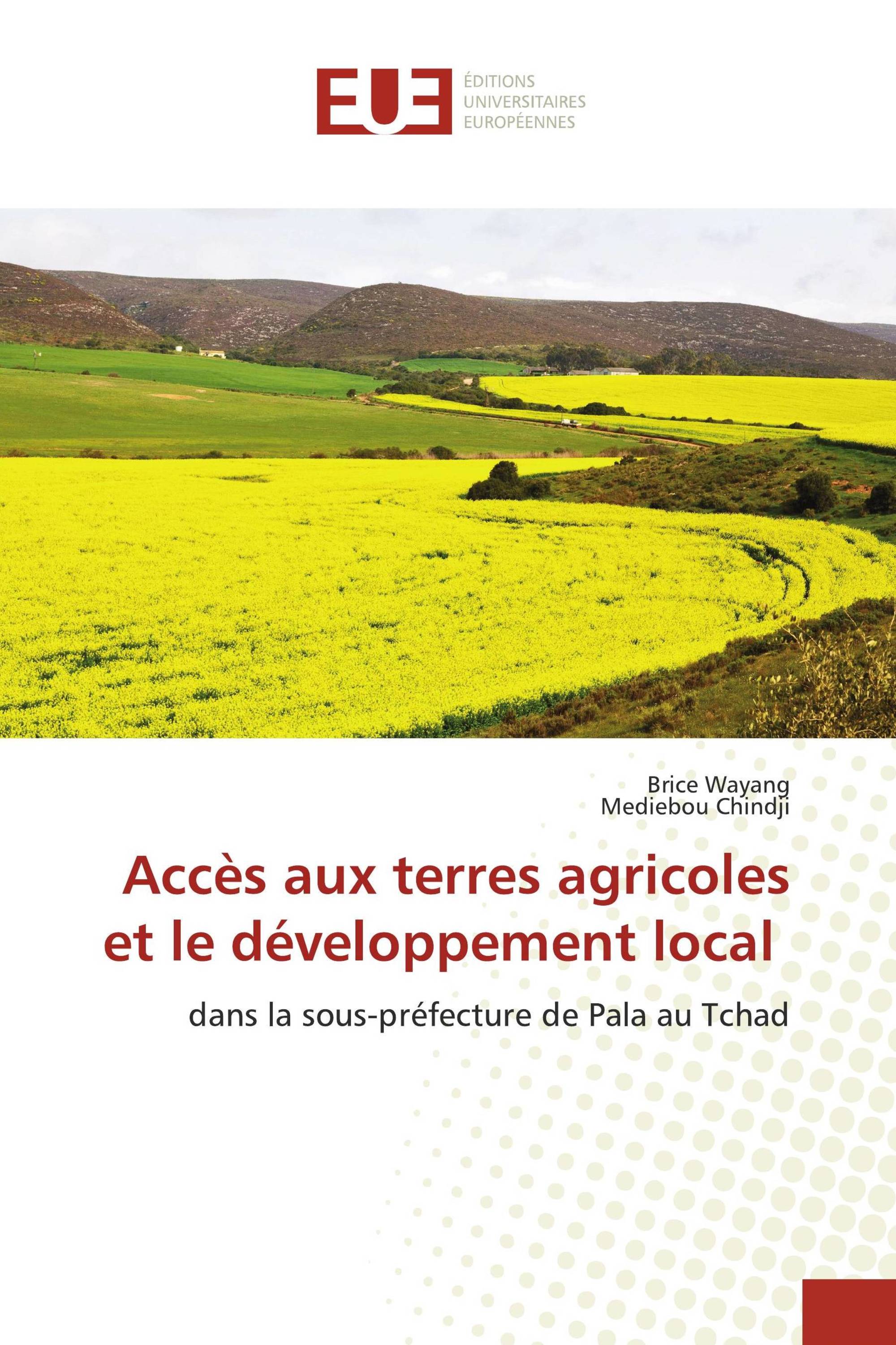 Accès aux terres agricoles et le développement local